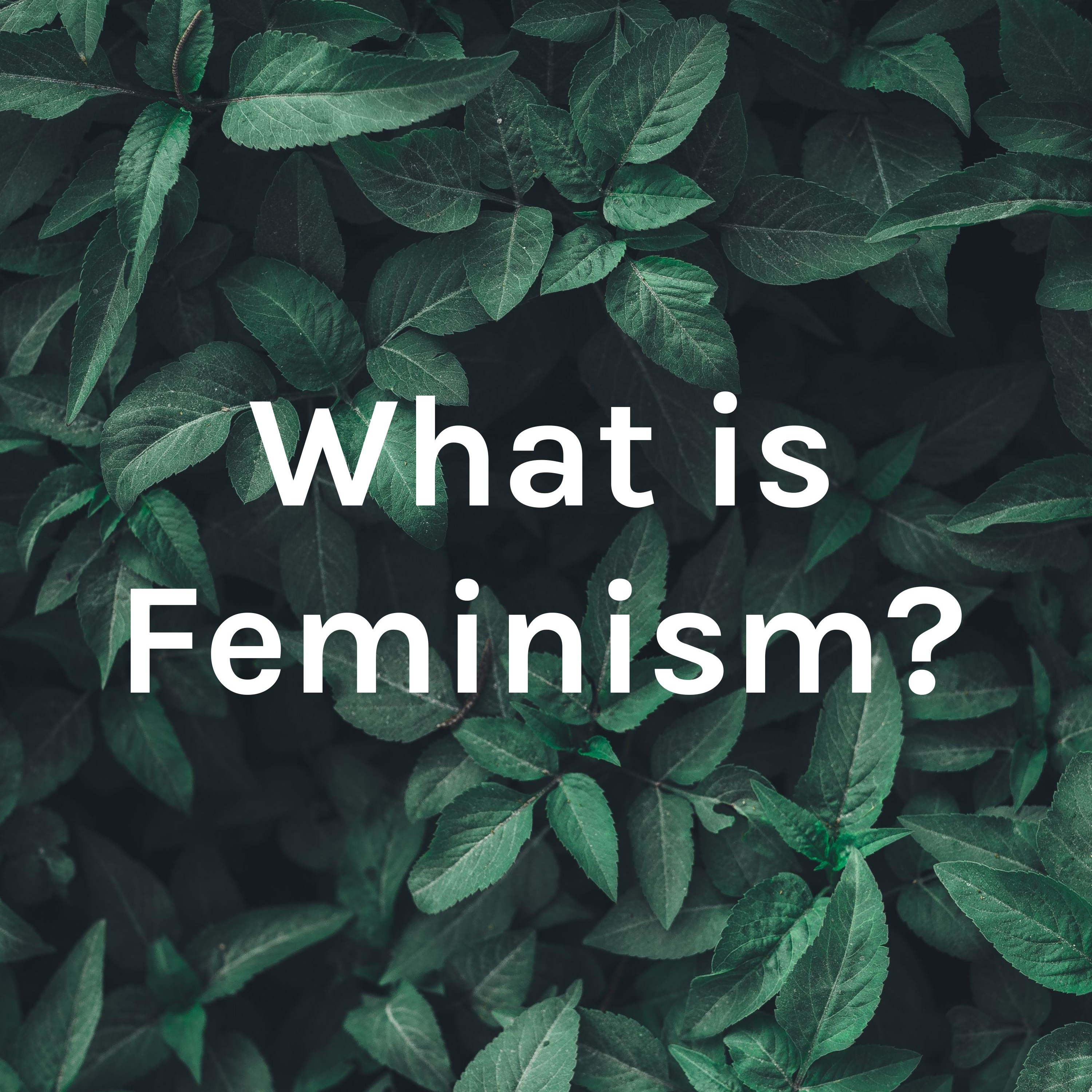 What is Feminism?