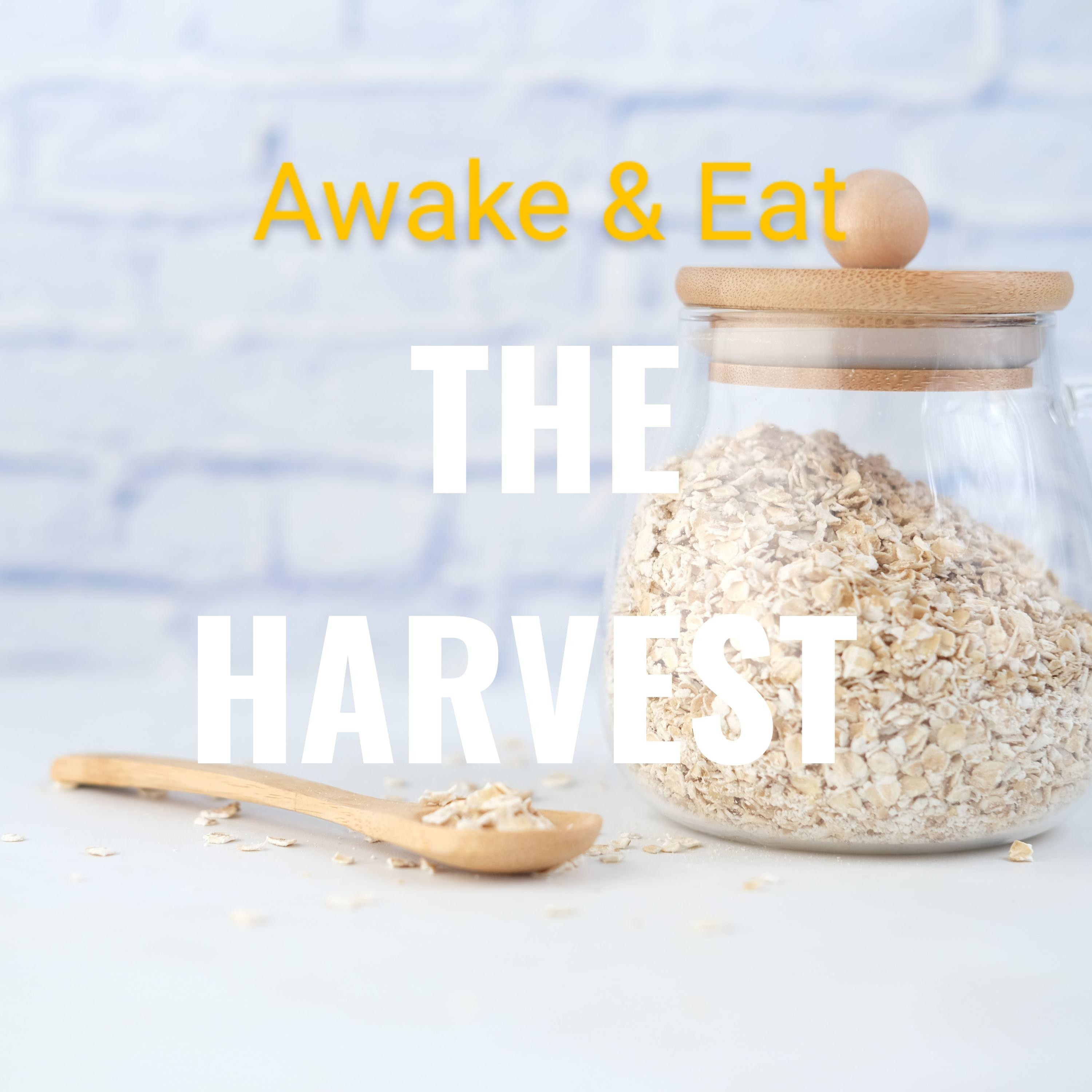 THE HARVEST THE HARVEST