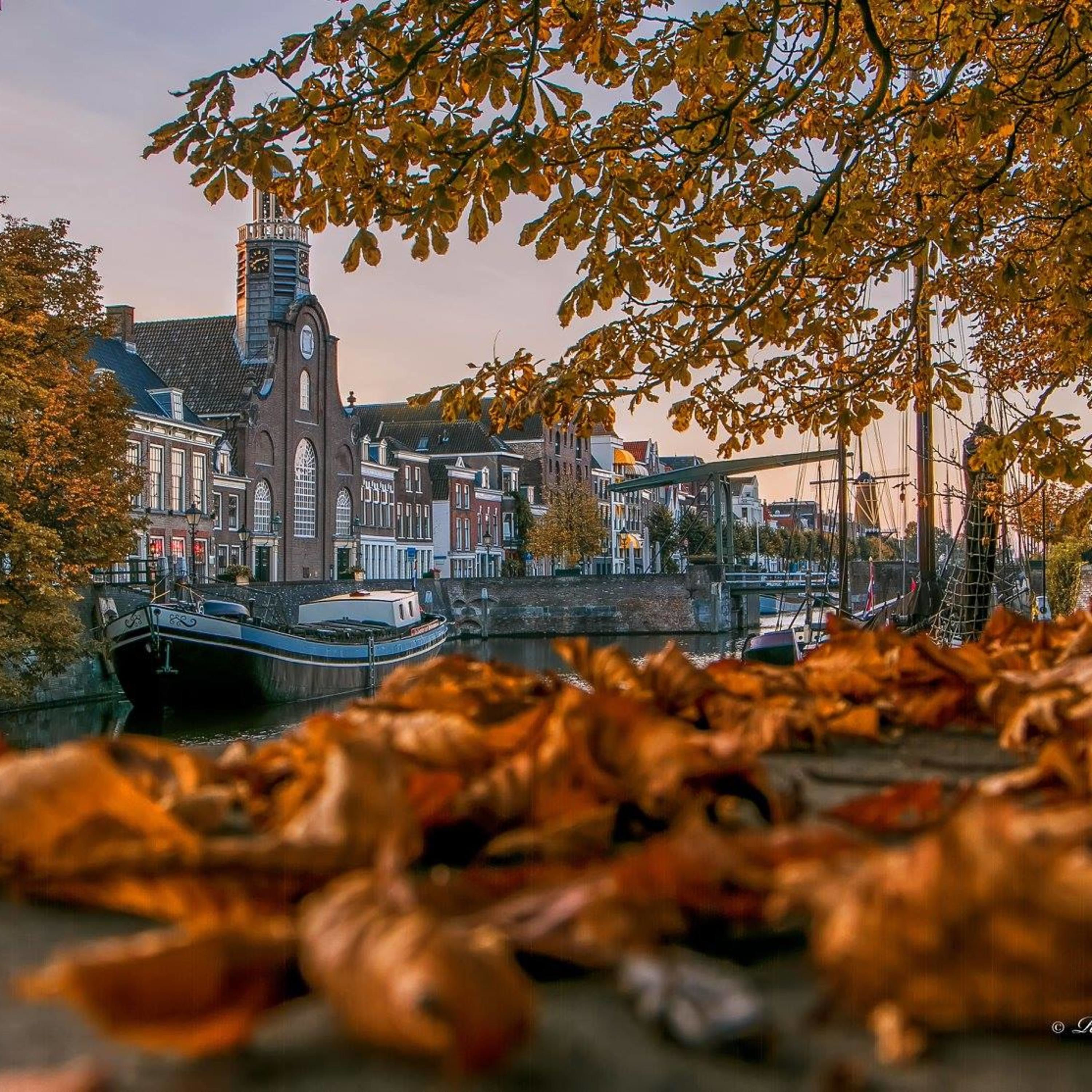 Preken Podcast Pelgrimvaderskerk | Hervormde Gemeente Delfshaven