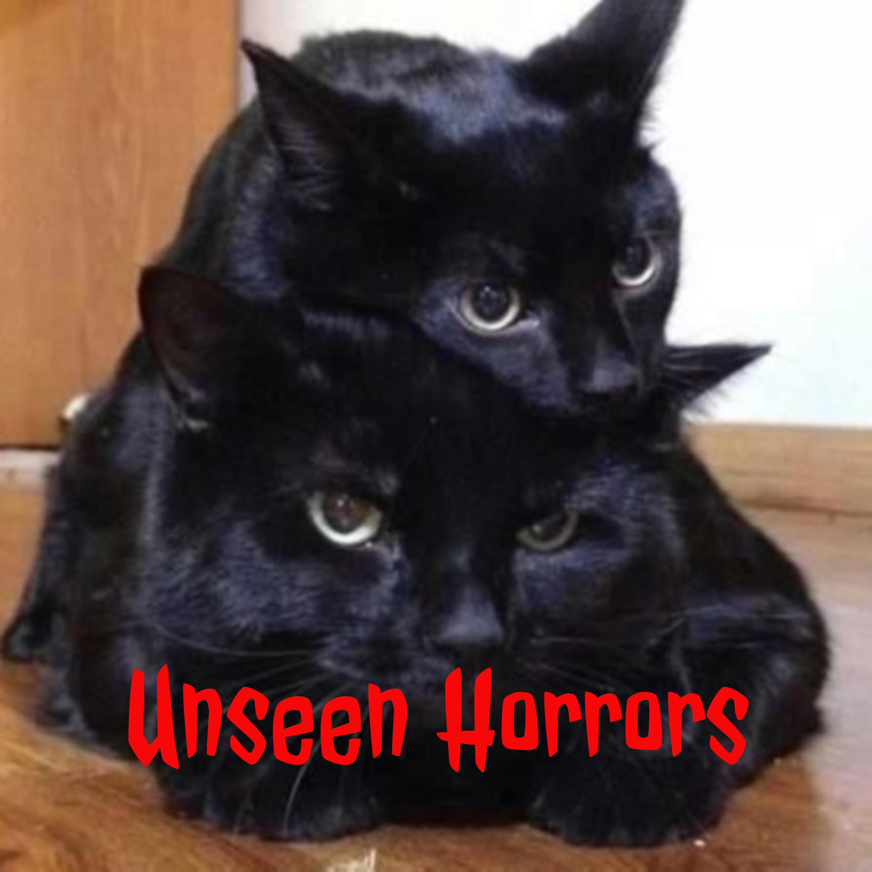 Unseen Horrors