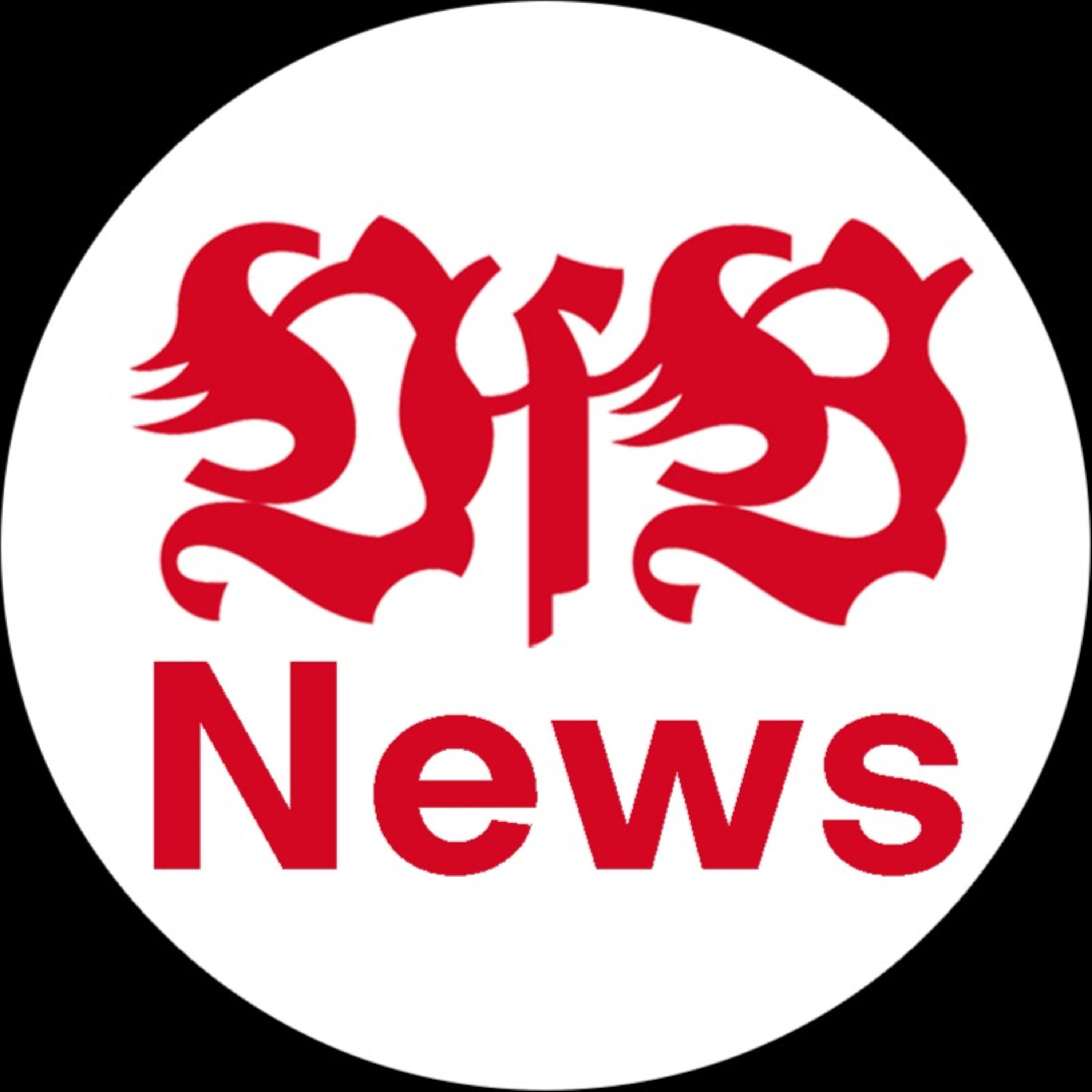 VfB Stuttgart Podcast | AFM - VfB