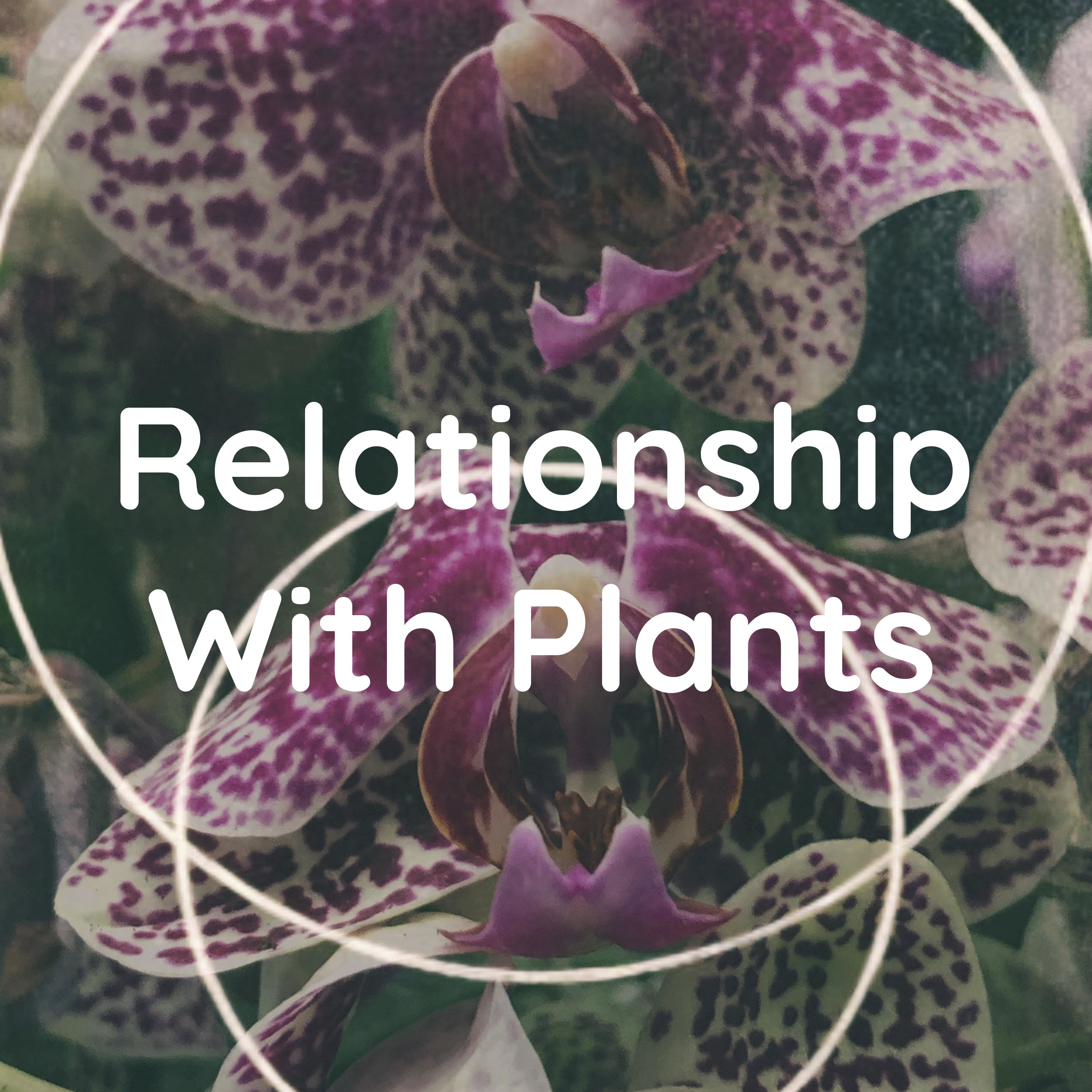 Relationship With Plants