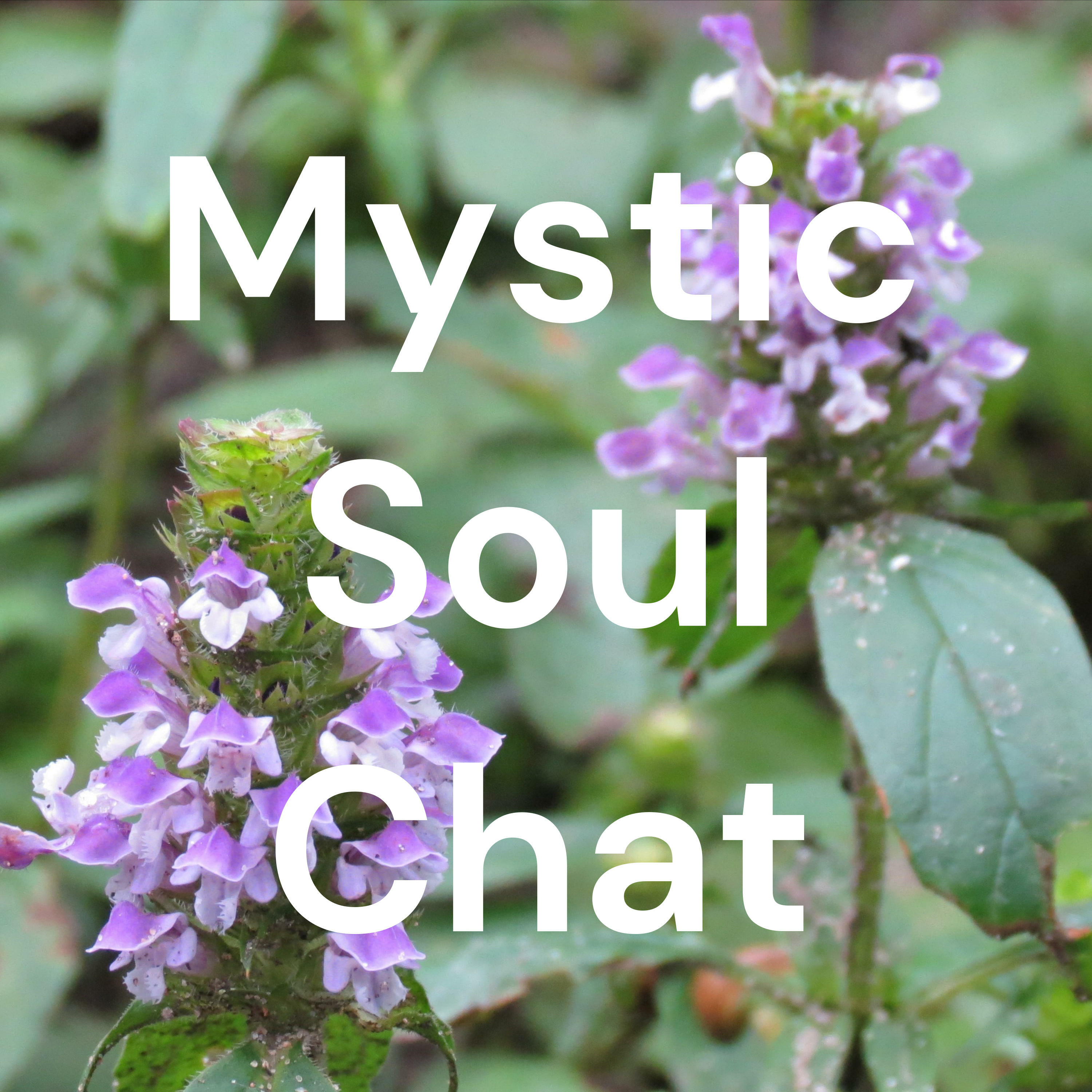 Mystic Soul Chat podcast artwork