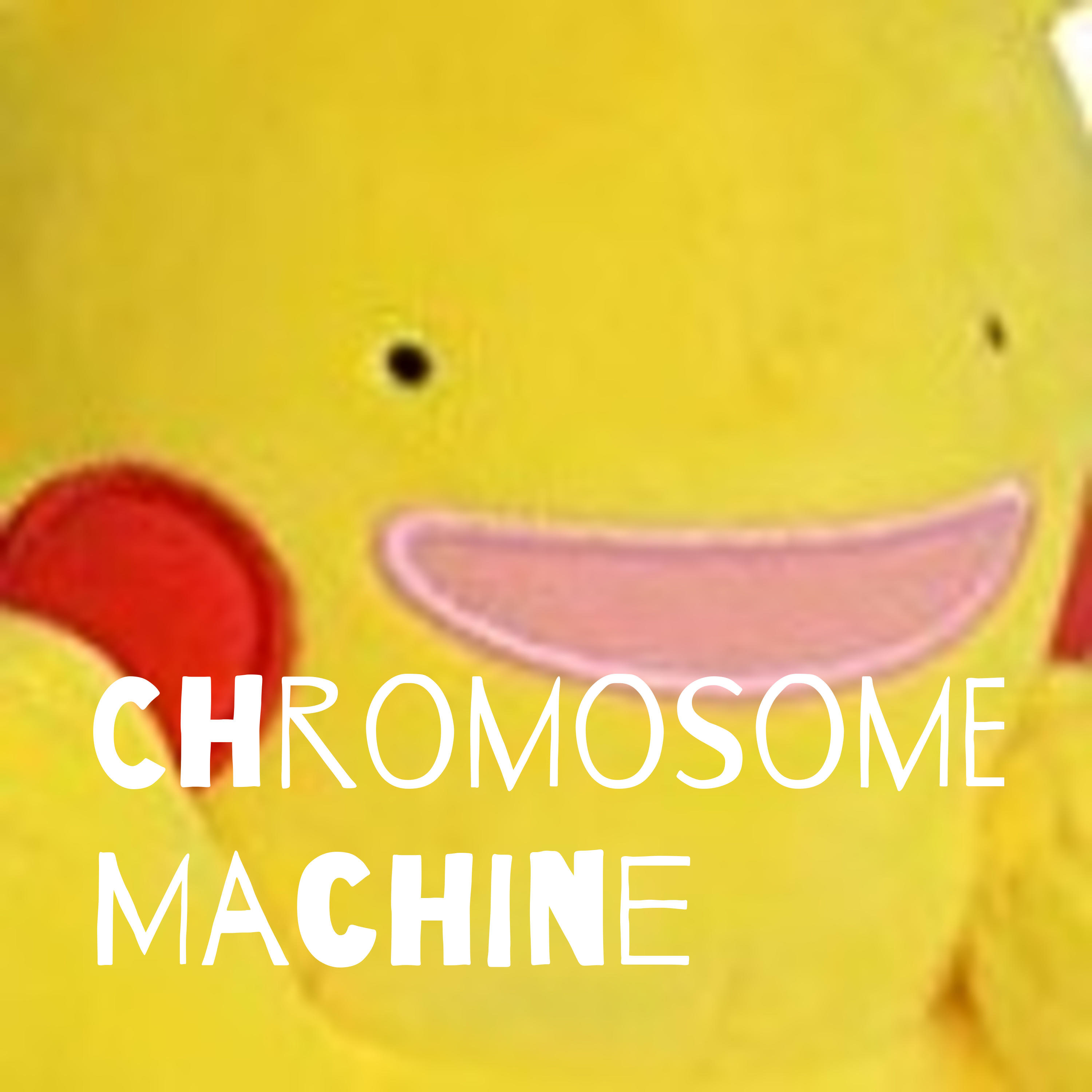 Chromosome Machine