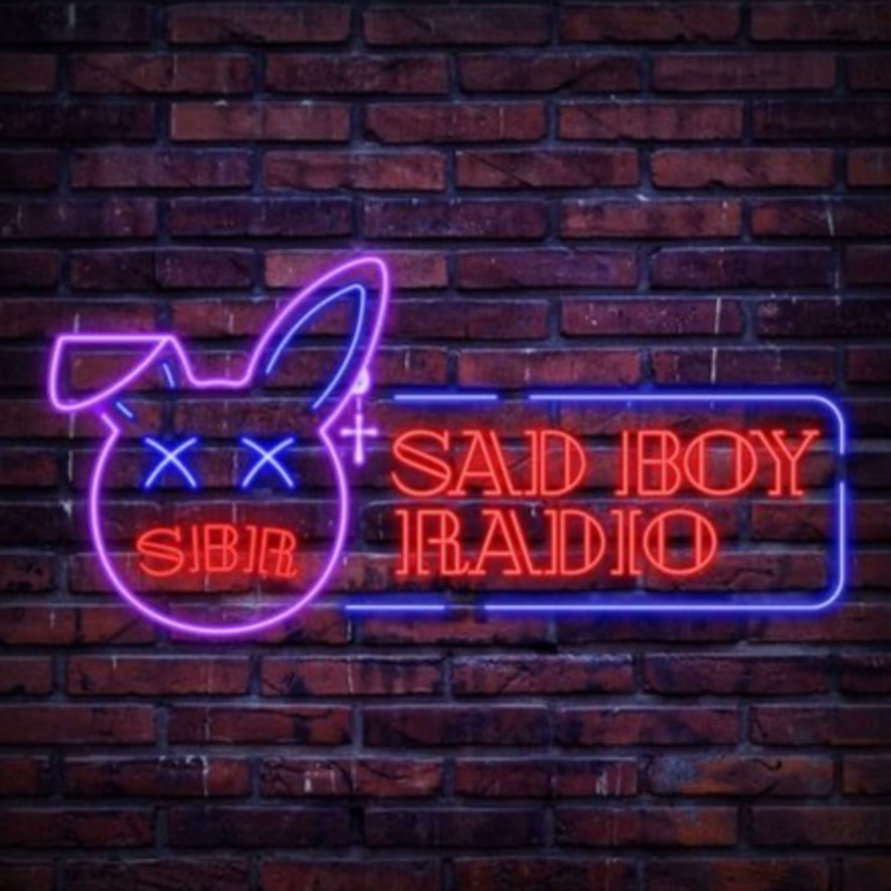 Sad Boy Radio LXXIII: What Would My Life Have Been? ( W/ DJ O-ZONE) episode artwork