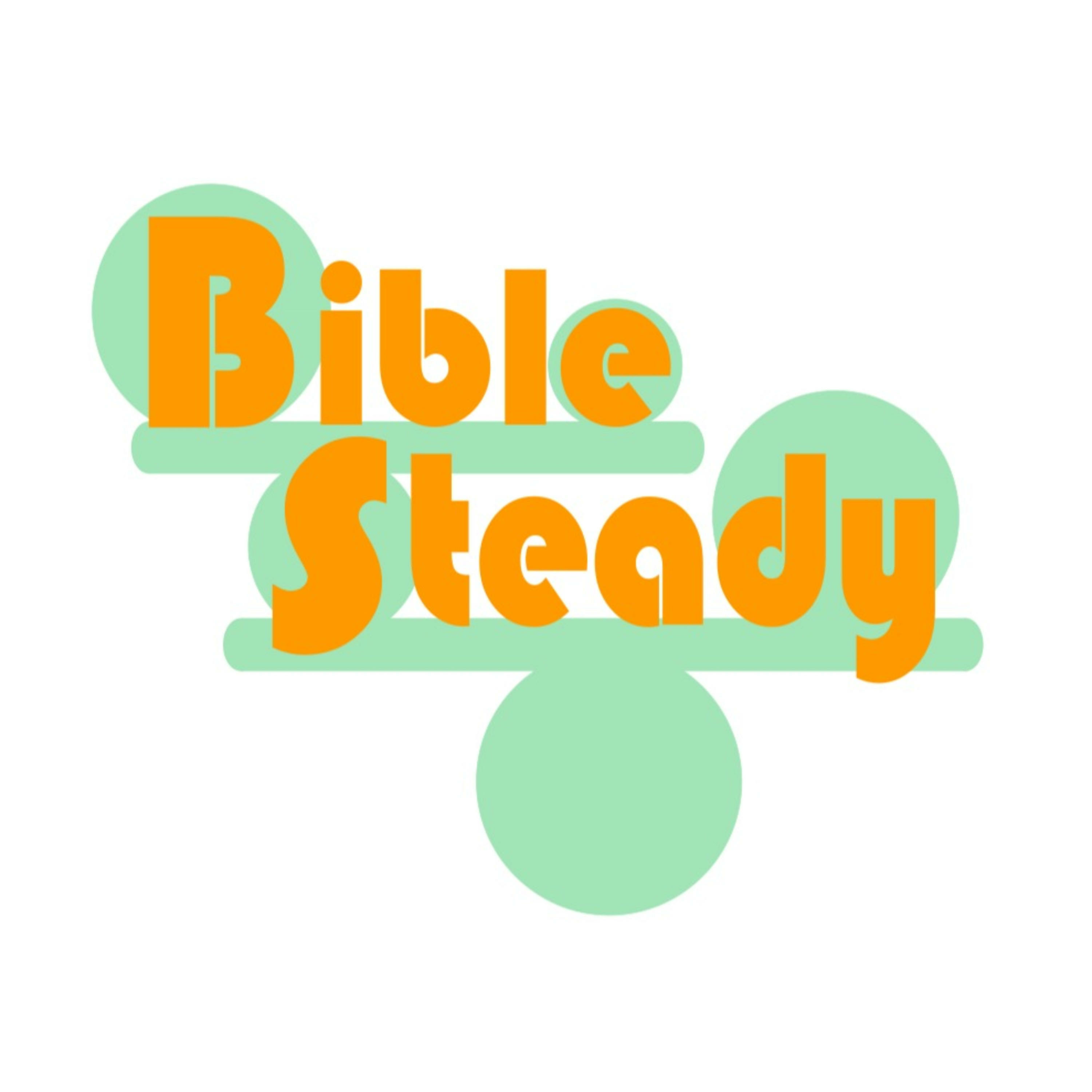 how-should-we-read-the-bible-by-bible-steady
