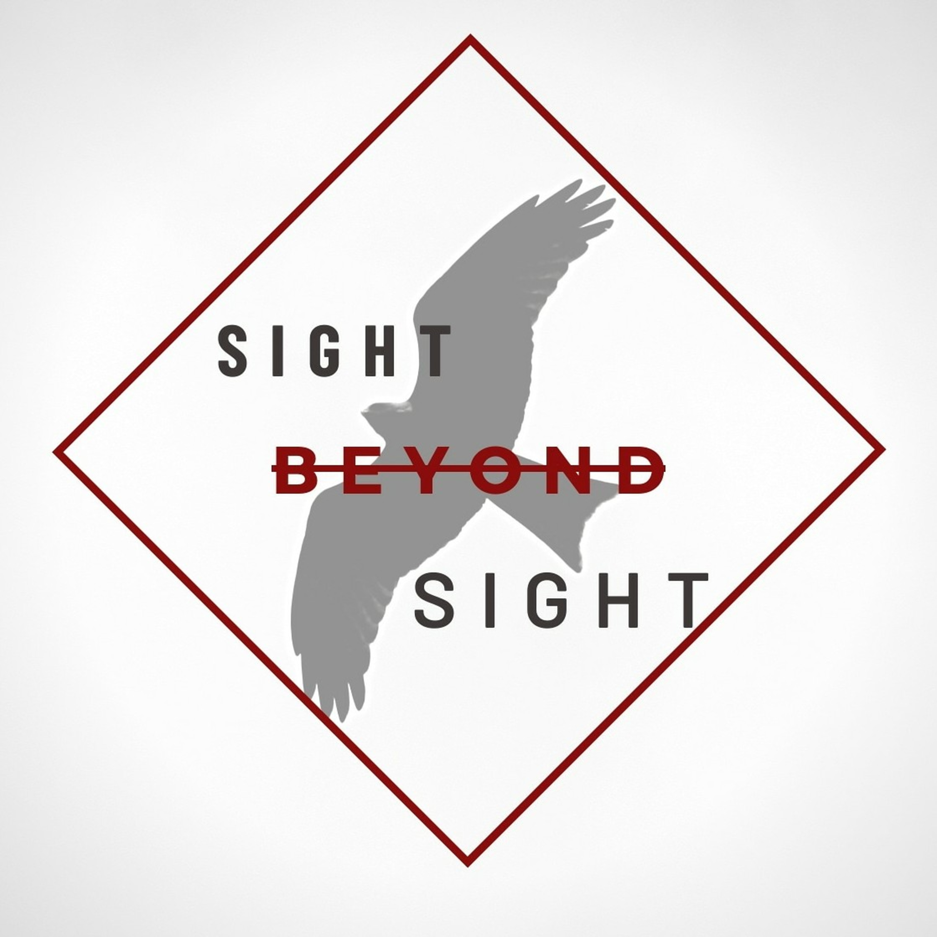 Sight Beyond Sight