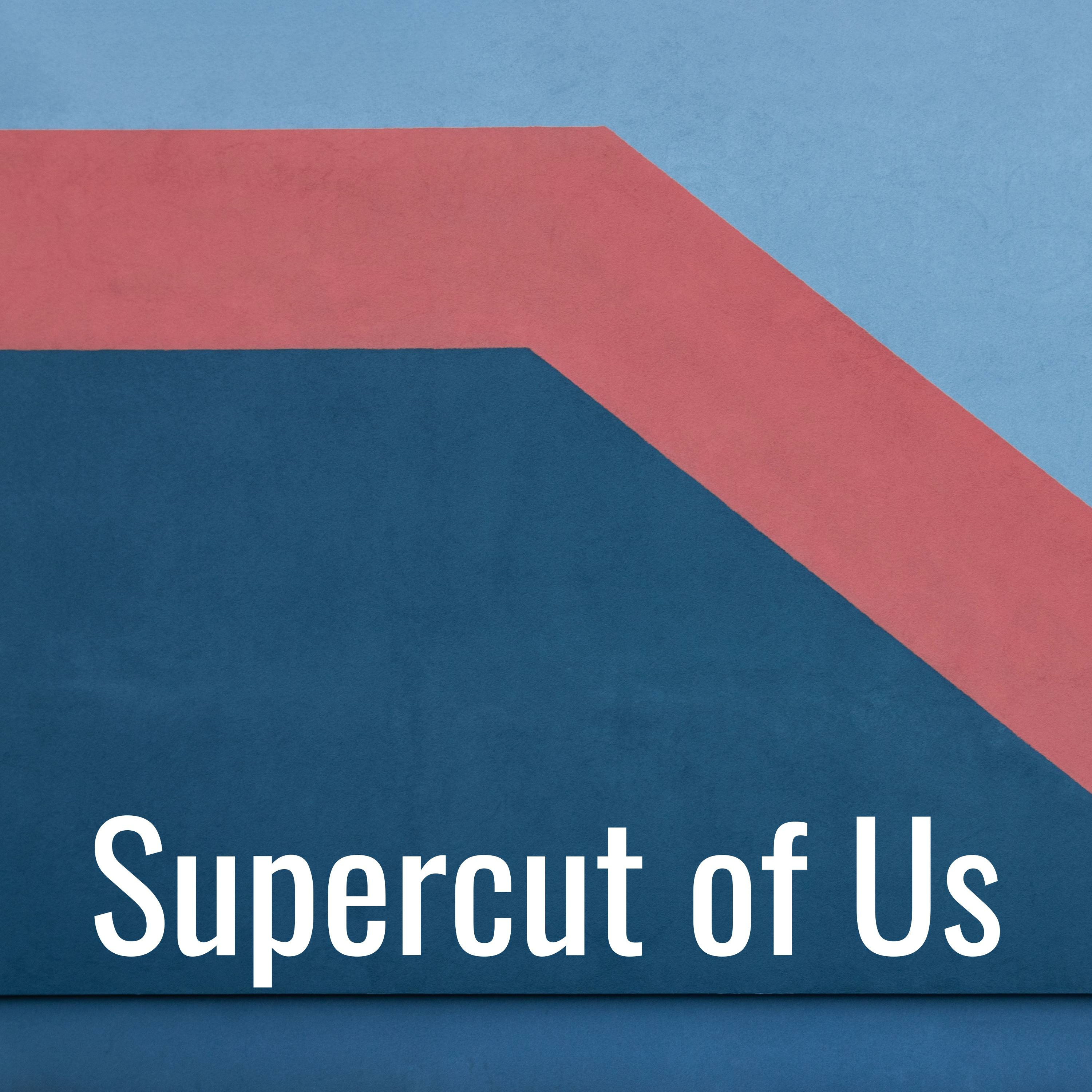 Supercut of Us