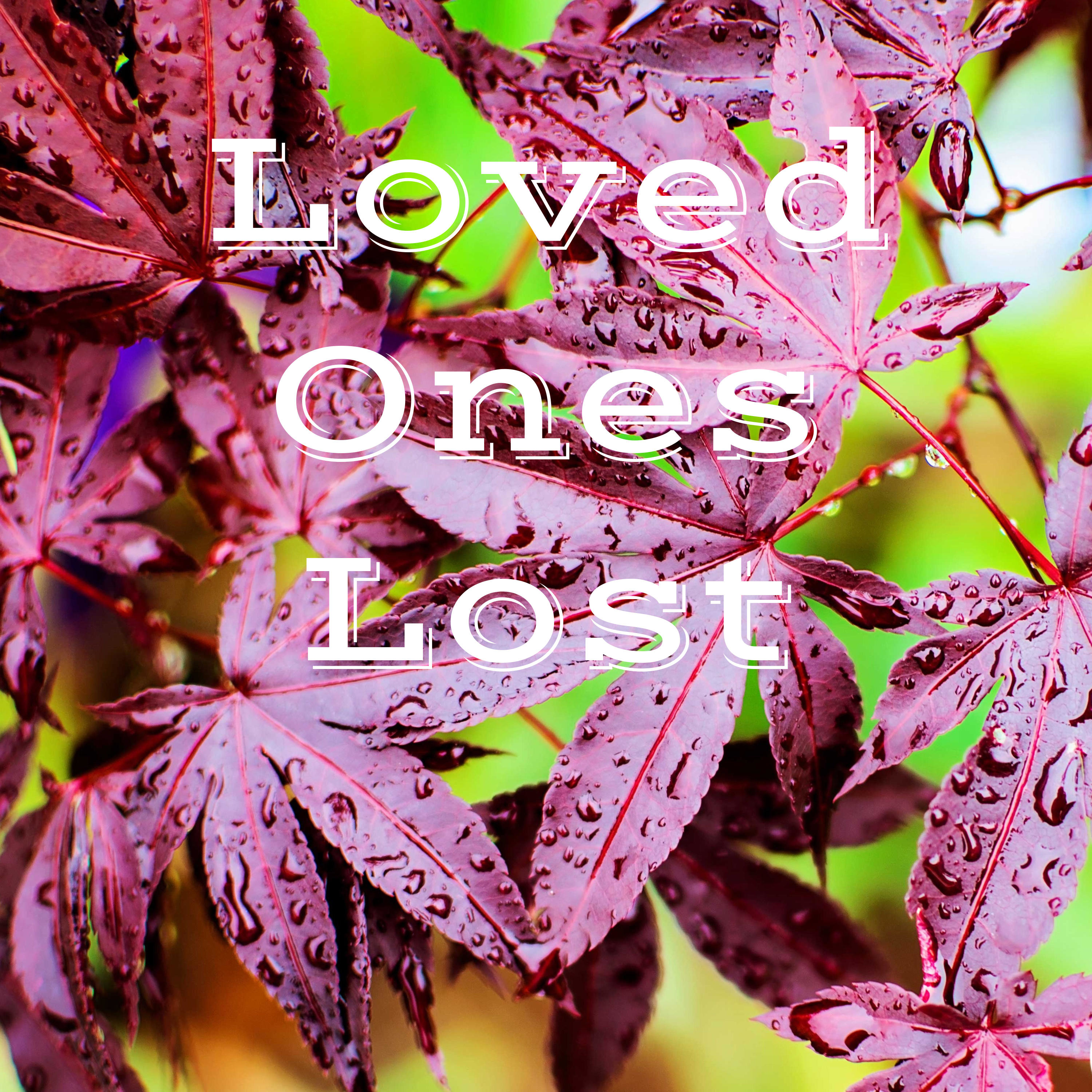 Loved Ones Lost