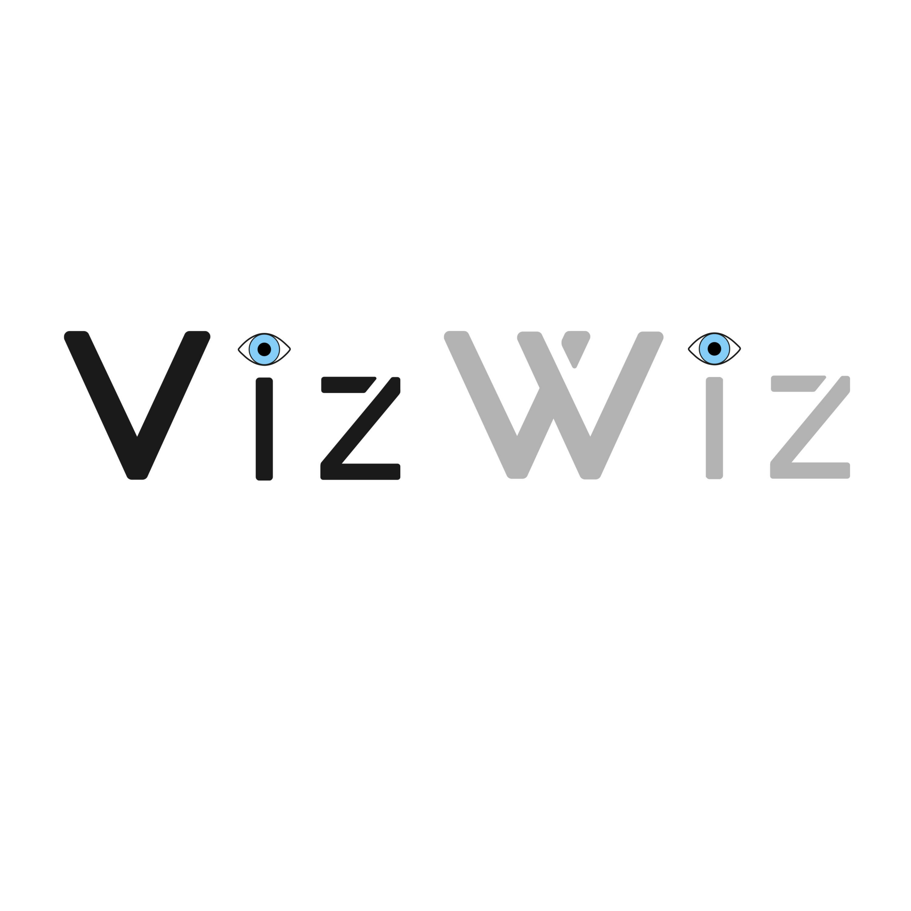 VizWiz