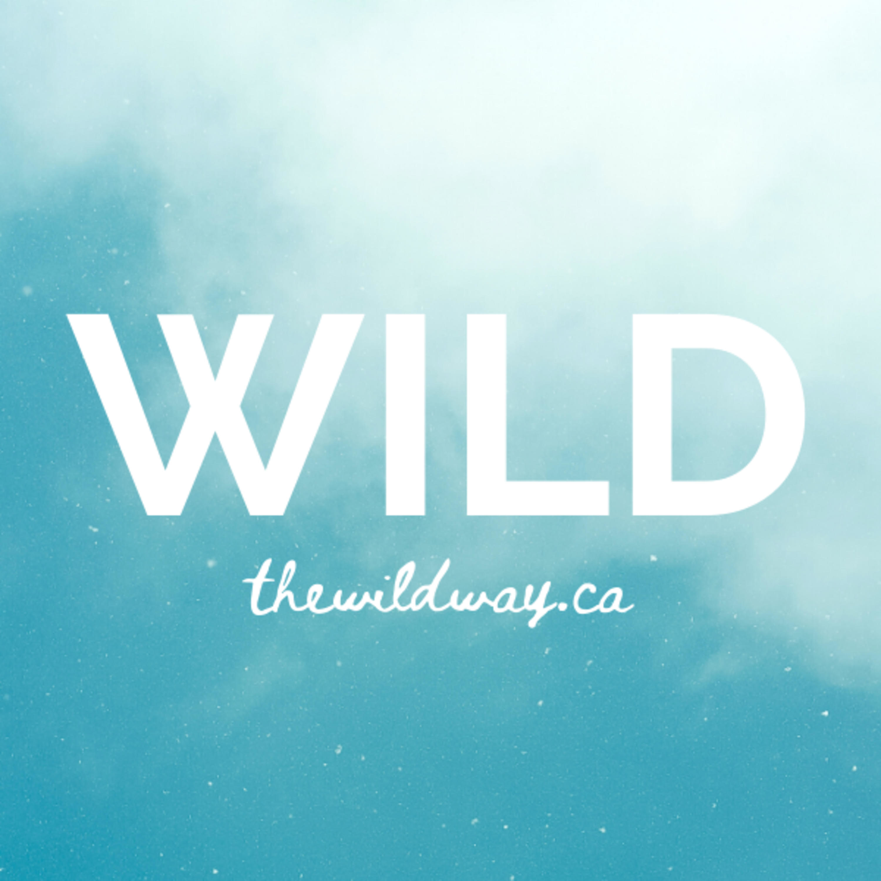 The WILD way