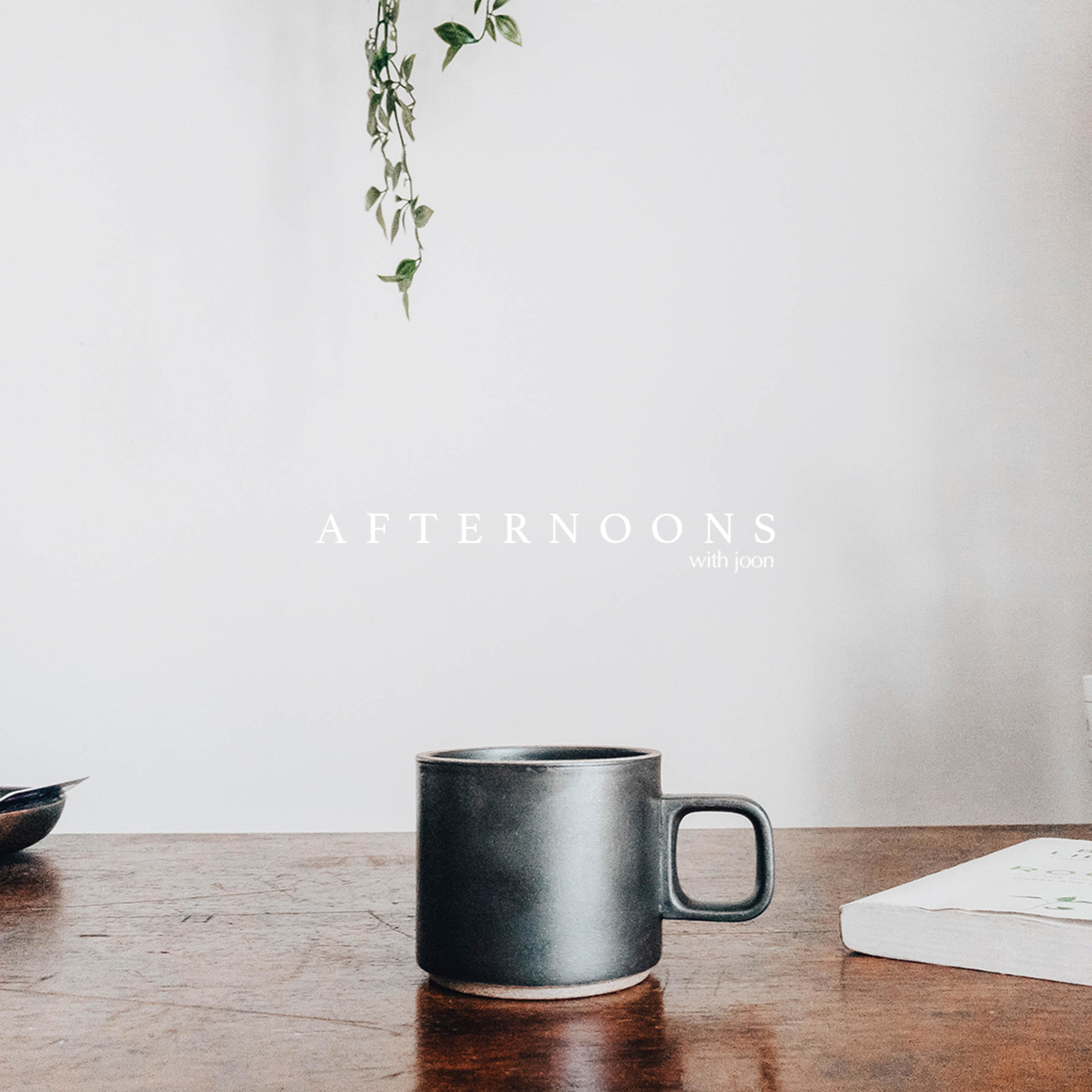 Afternoons with Joon