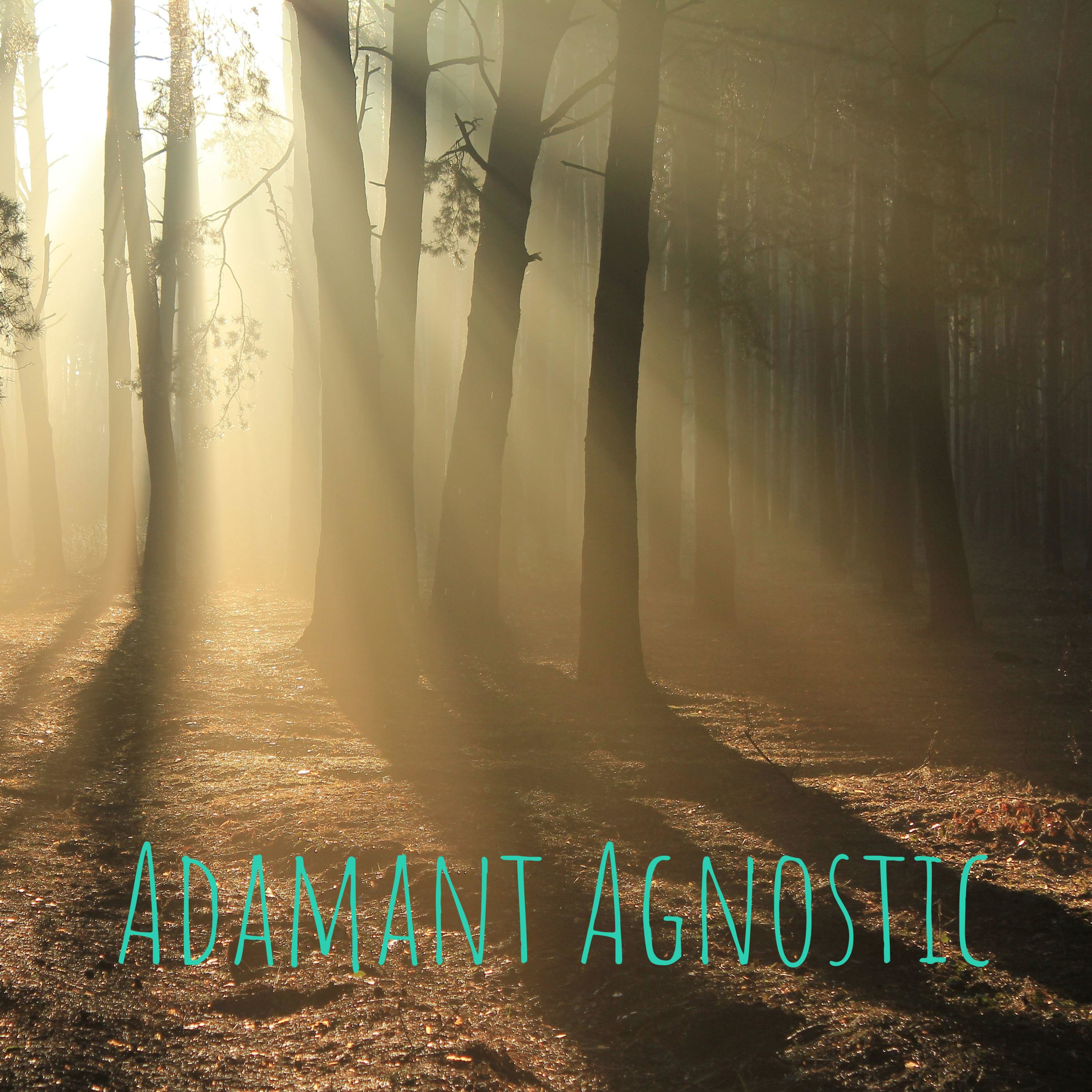 Adamant Agnostic