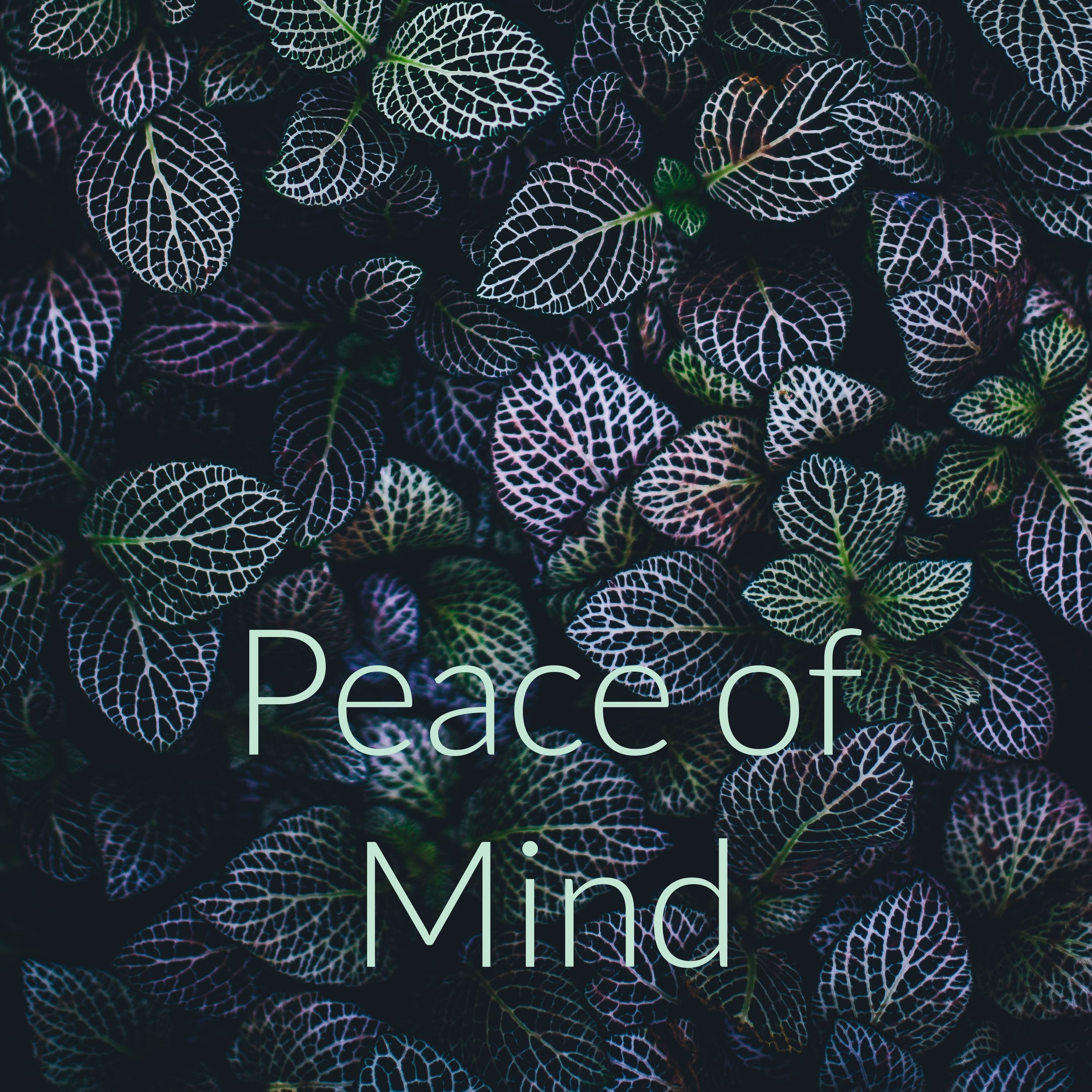 Peace of Mind