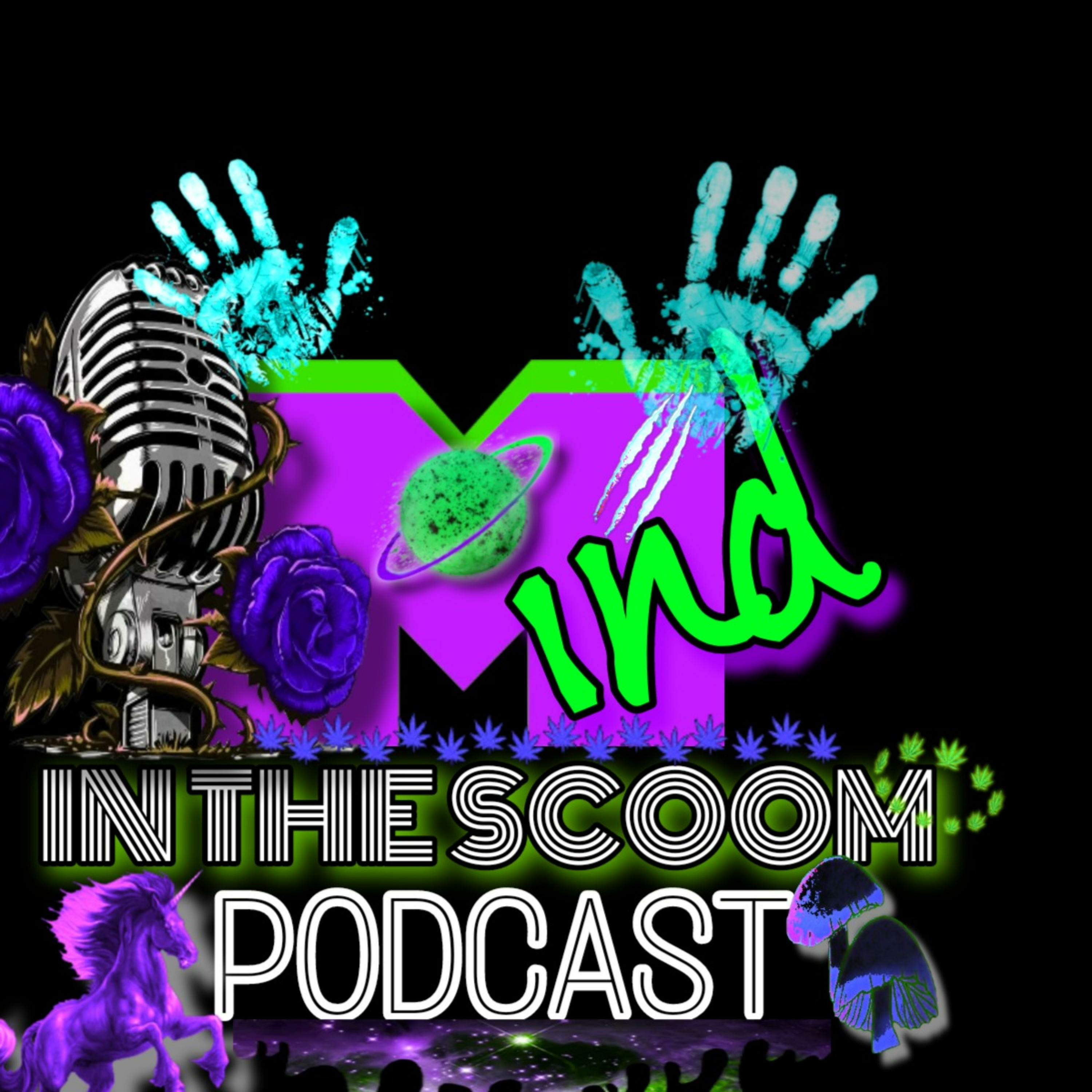 Mind In The Scoom podcast artwork
