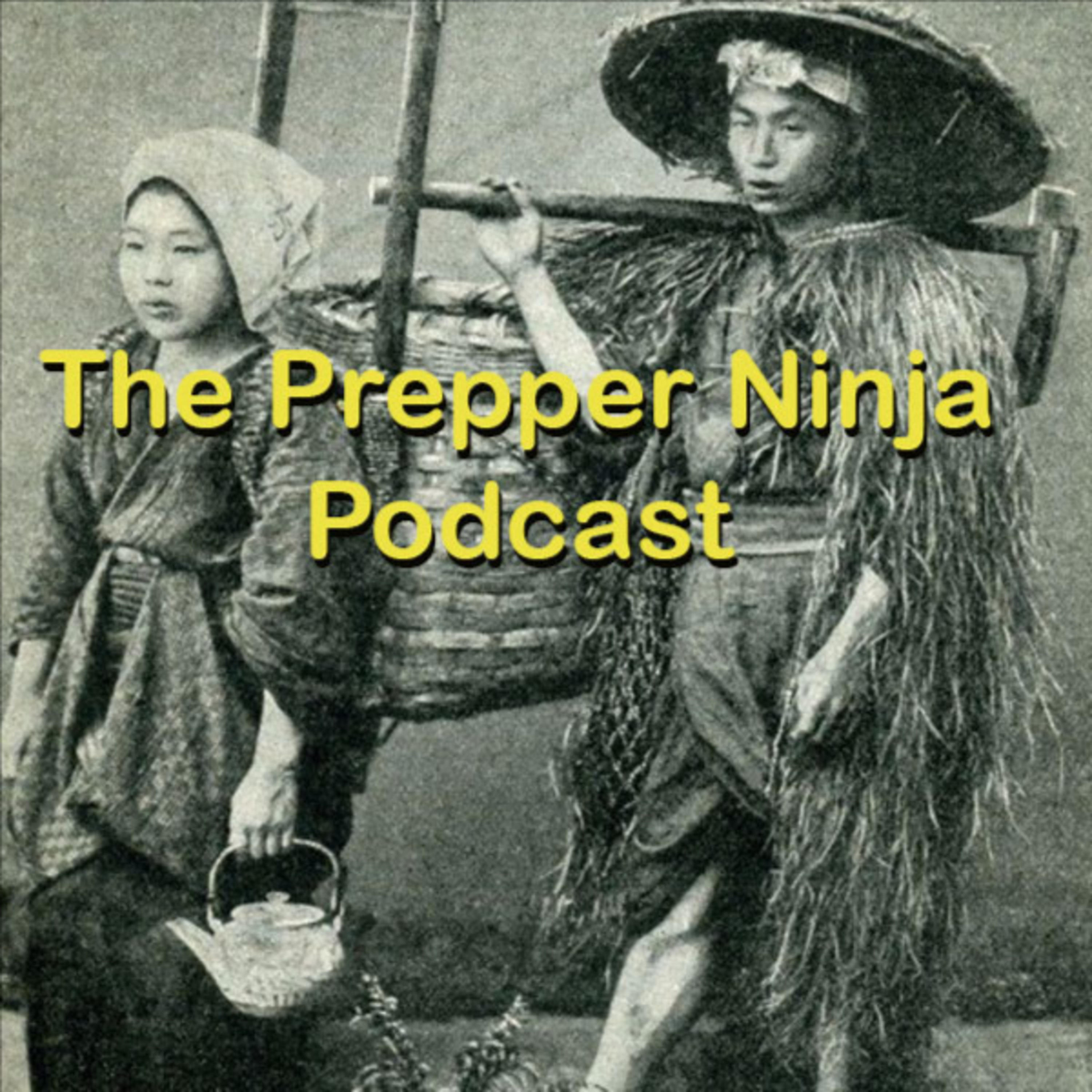 Theprepperninjapodcast podcast artwork