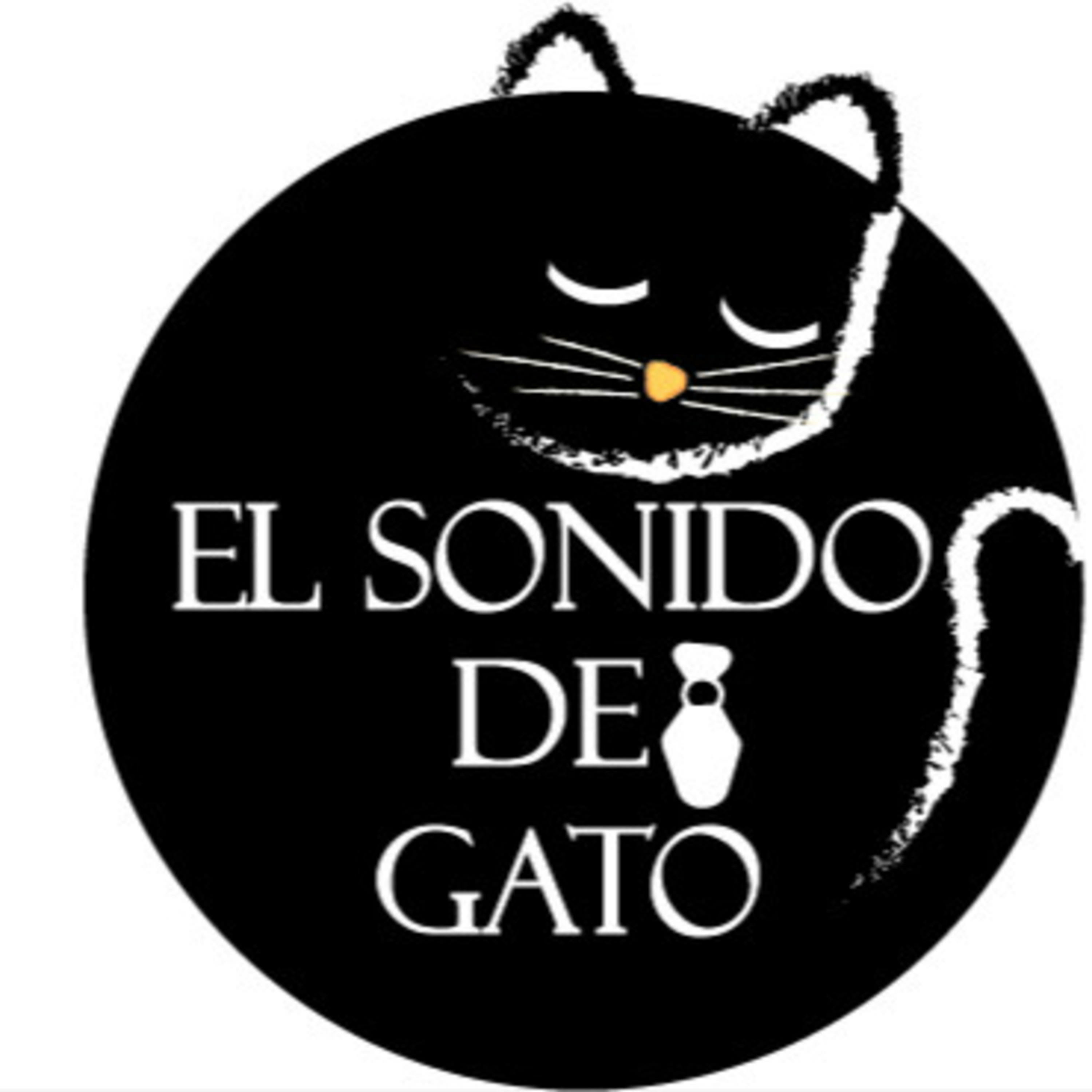 EL SONIDO DEL GATO