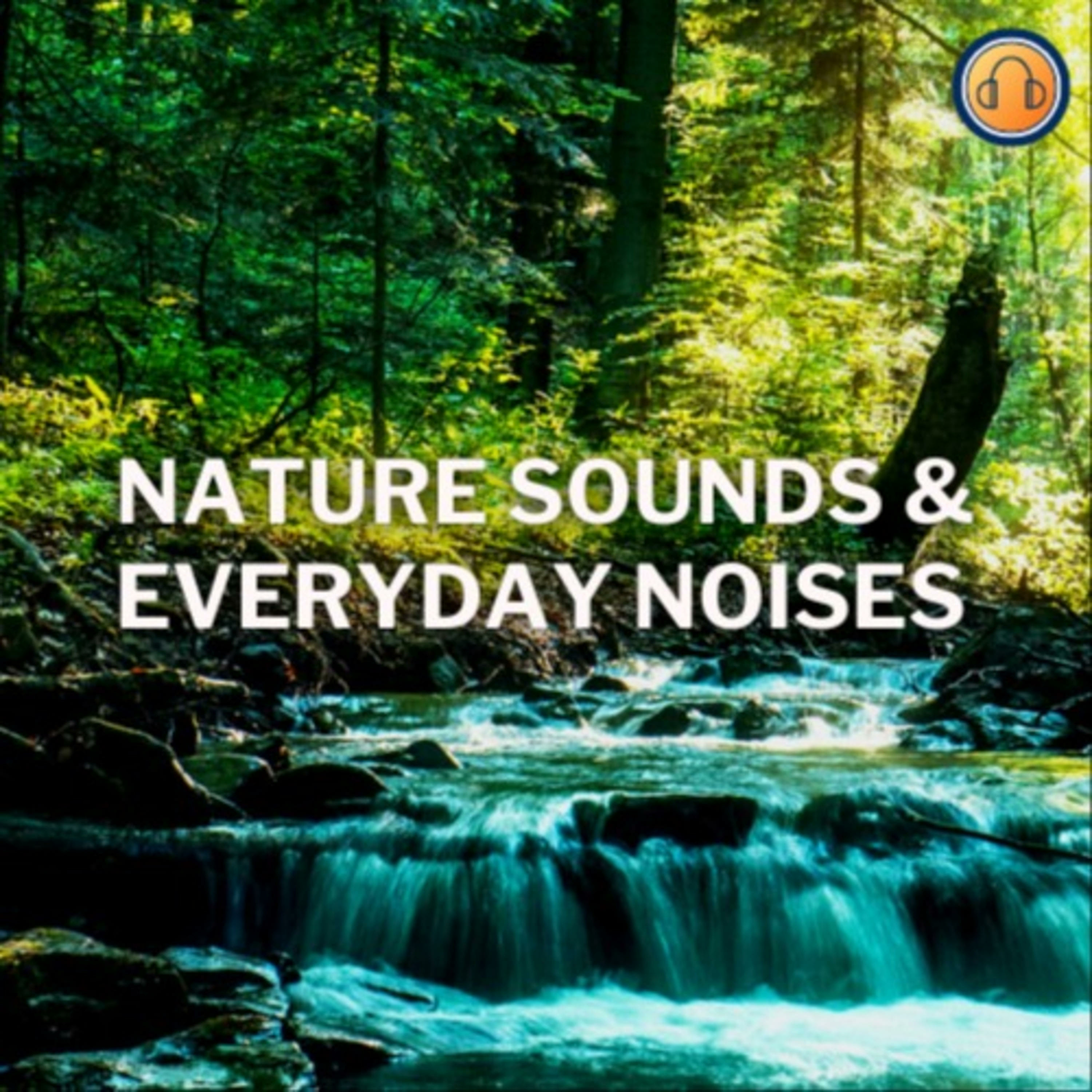 Nature Sounds & Everyday Noises Podcast