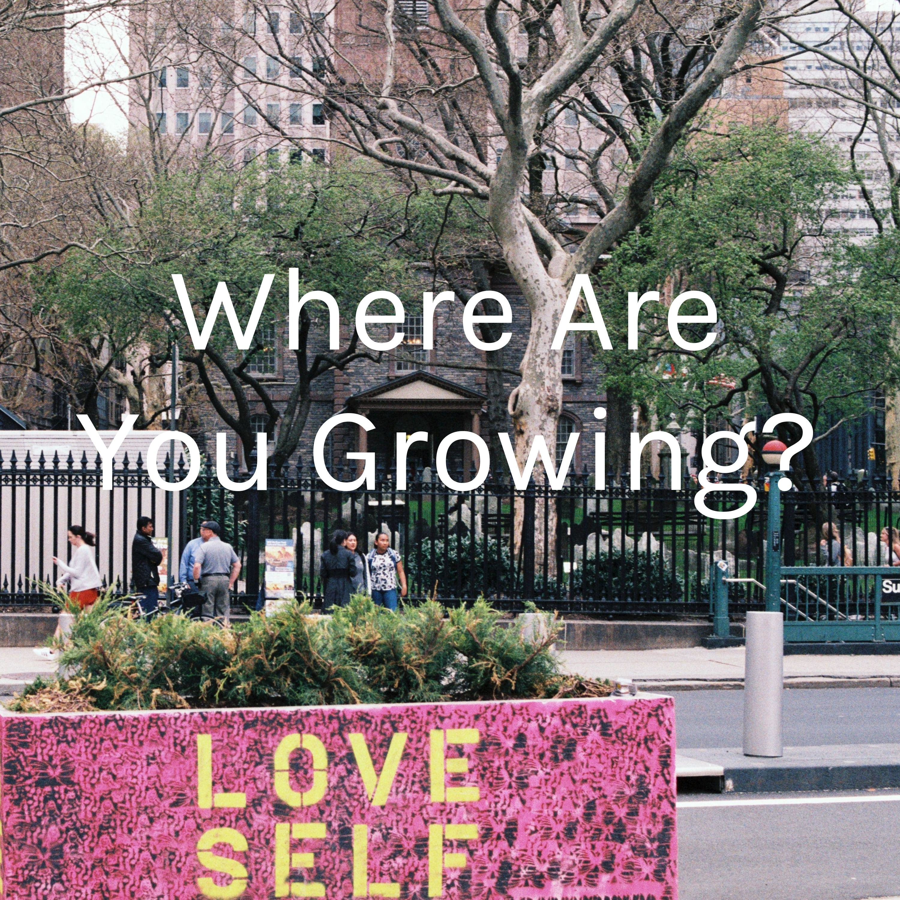 Where Are You Growing?  (Trailer)