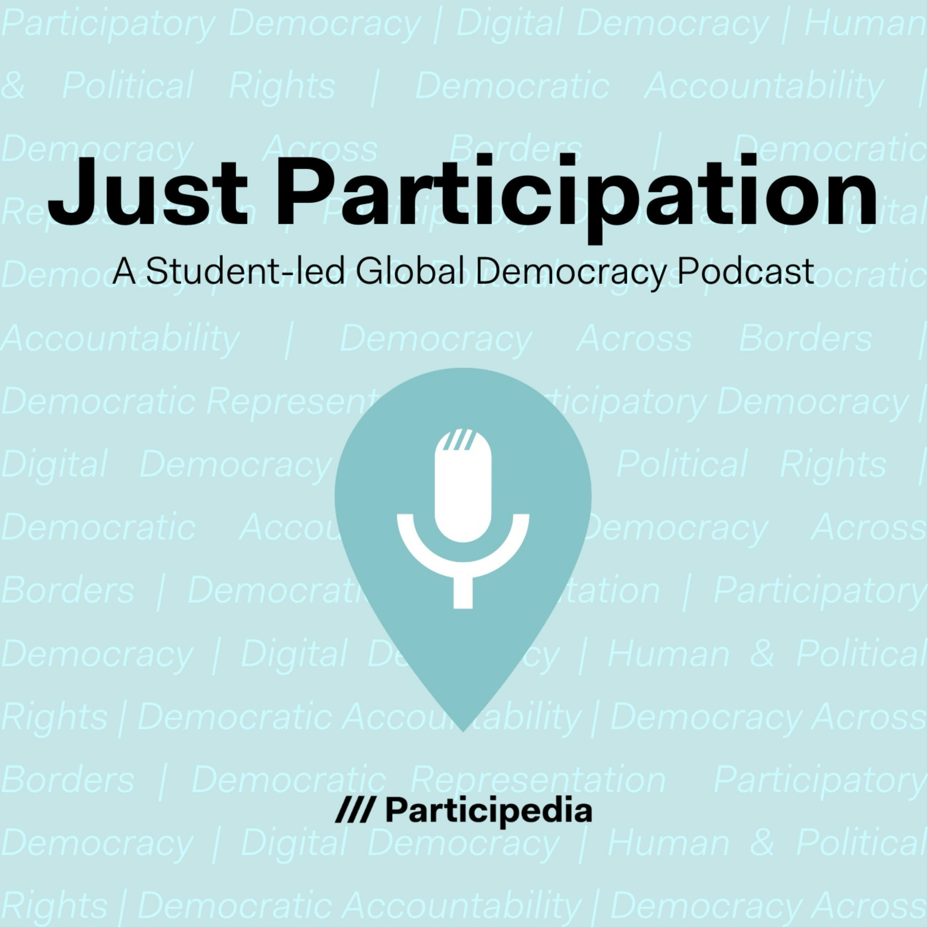 Just Participation