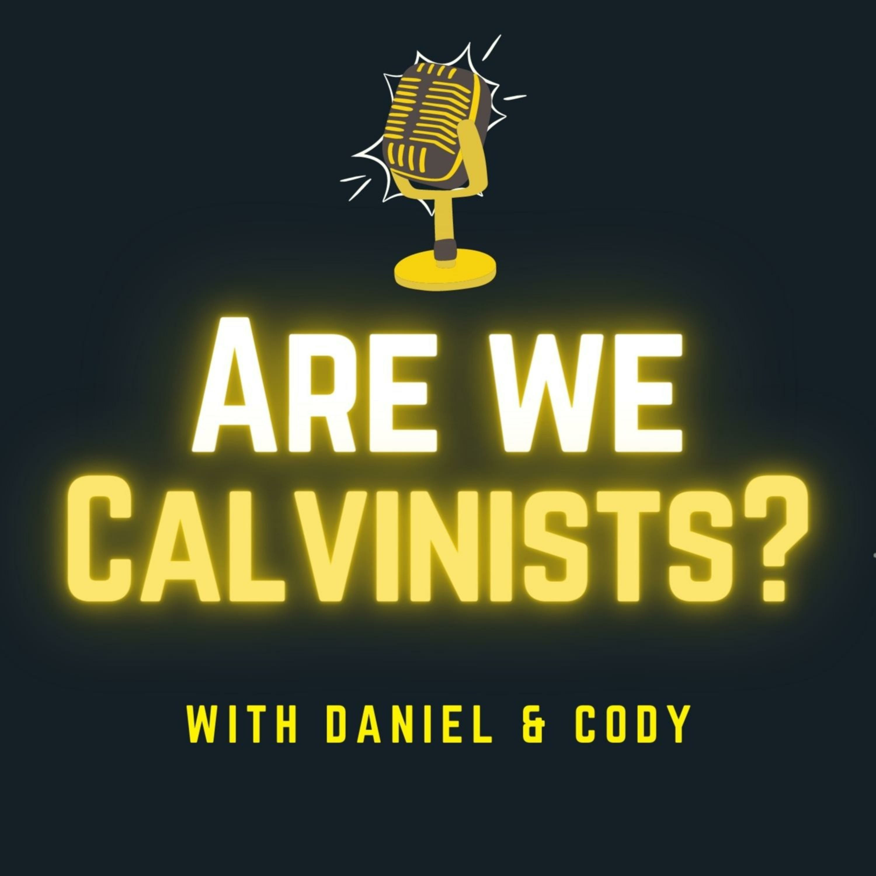 Are we Calvinists? cover art