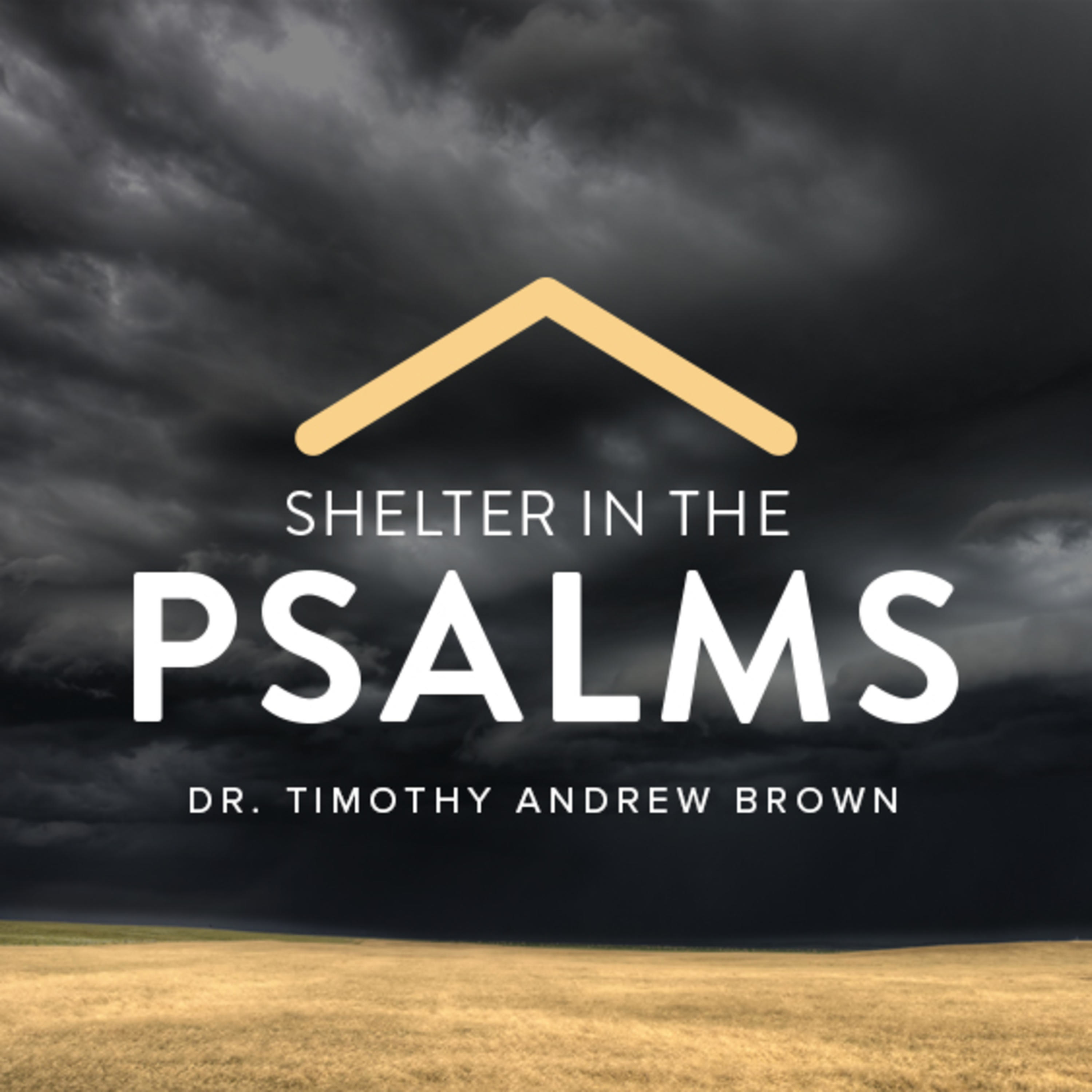 Shelter in the Psalms
