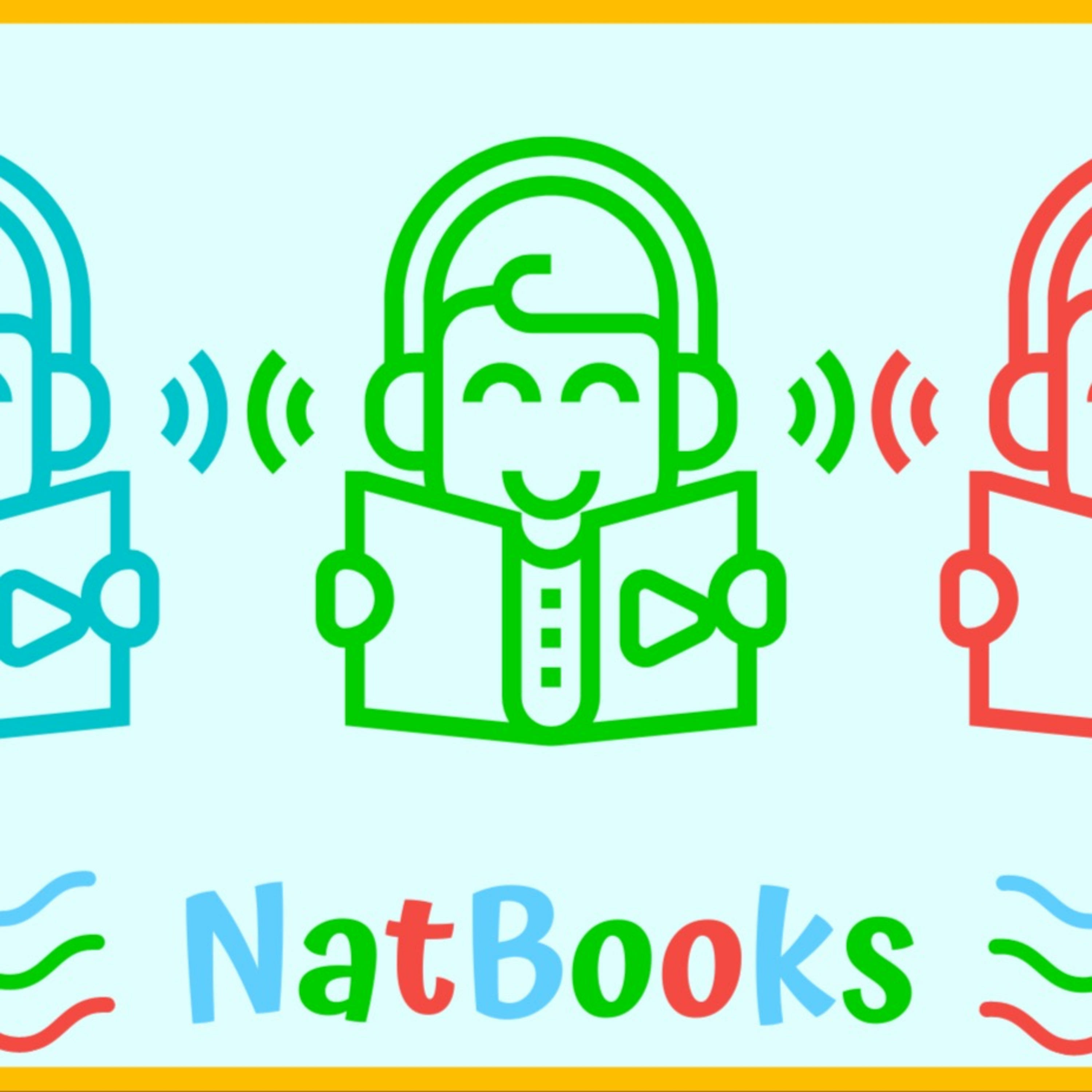 NatBooks - Por Natacha Pimentel