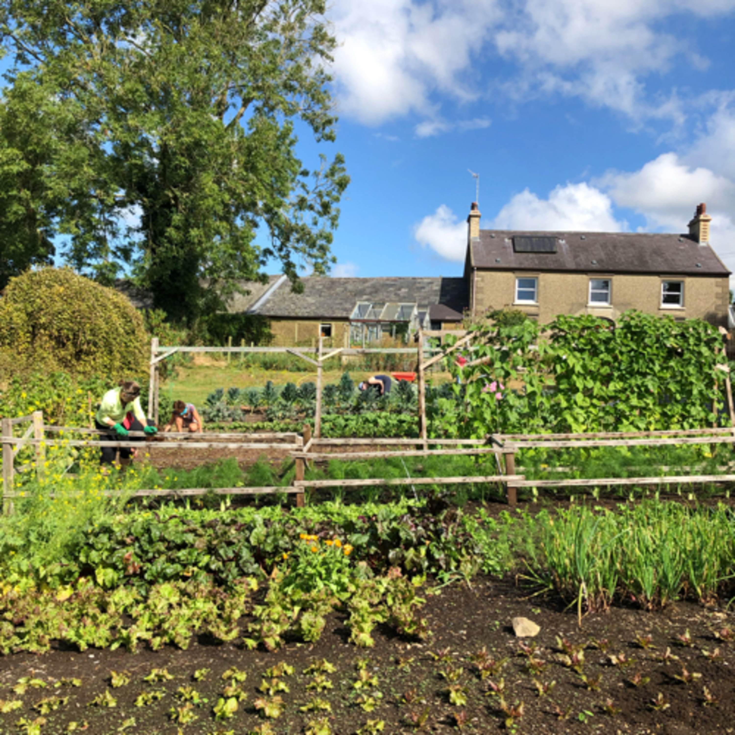 Farm & Feast