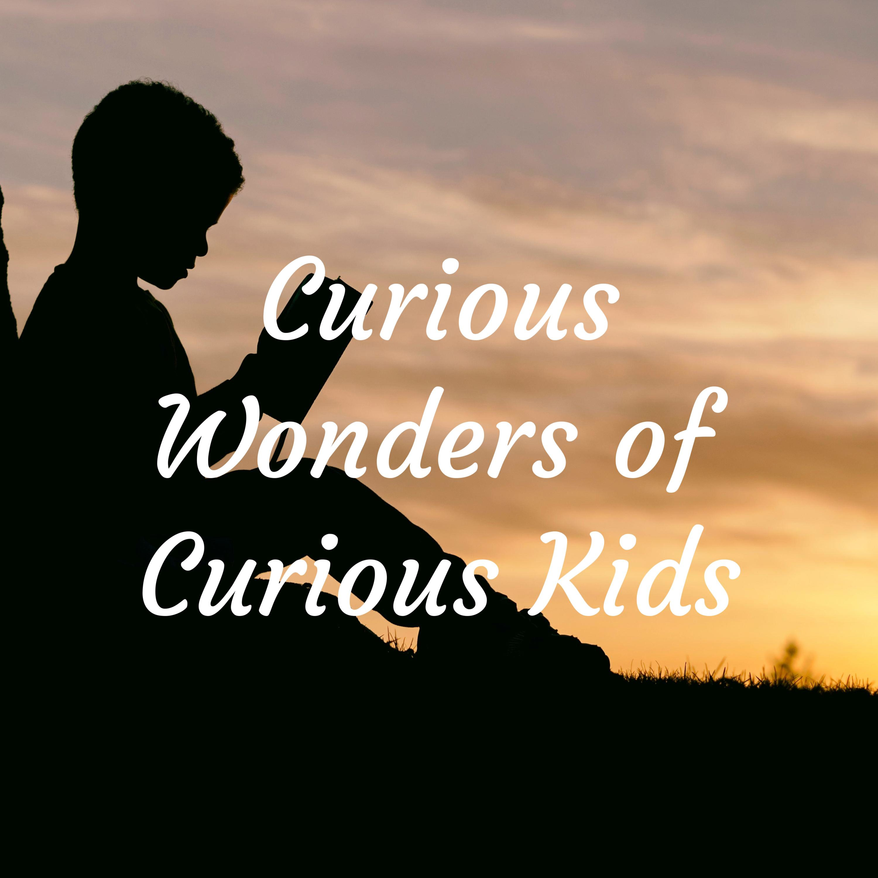 The Real Story of The Titanic by Curious Wonders of Curious Kids, image size:3000x3000