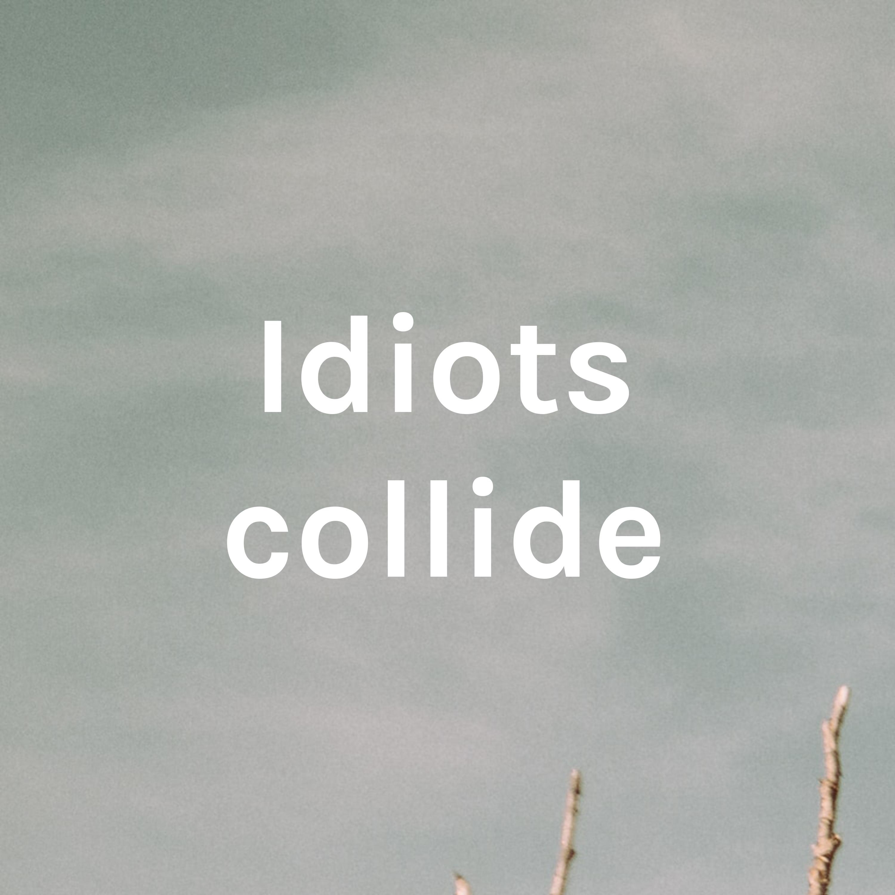 Idiots collide