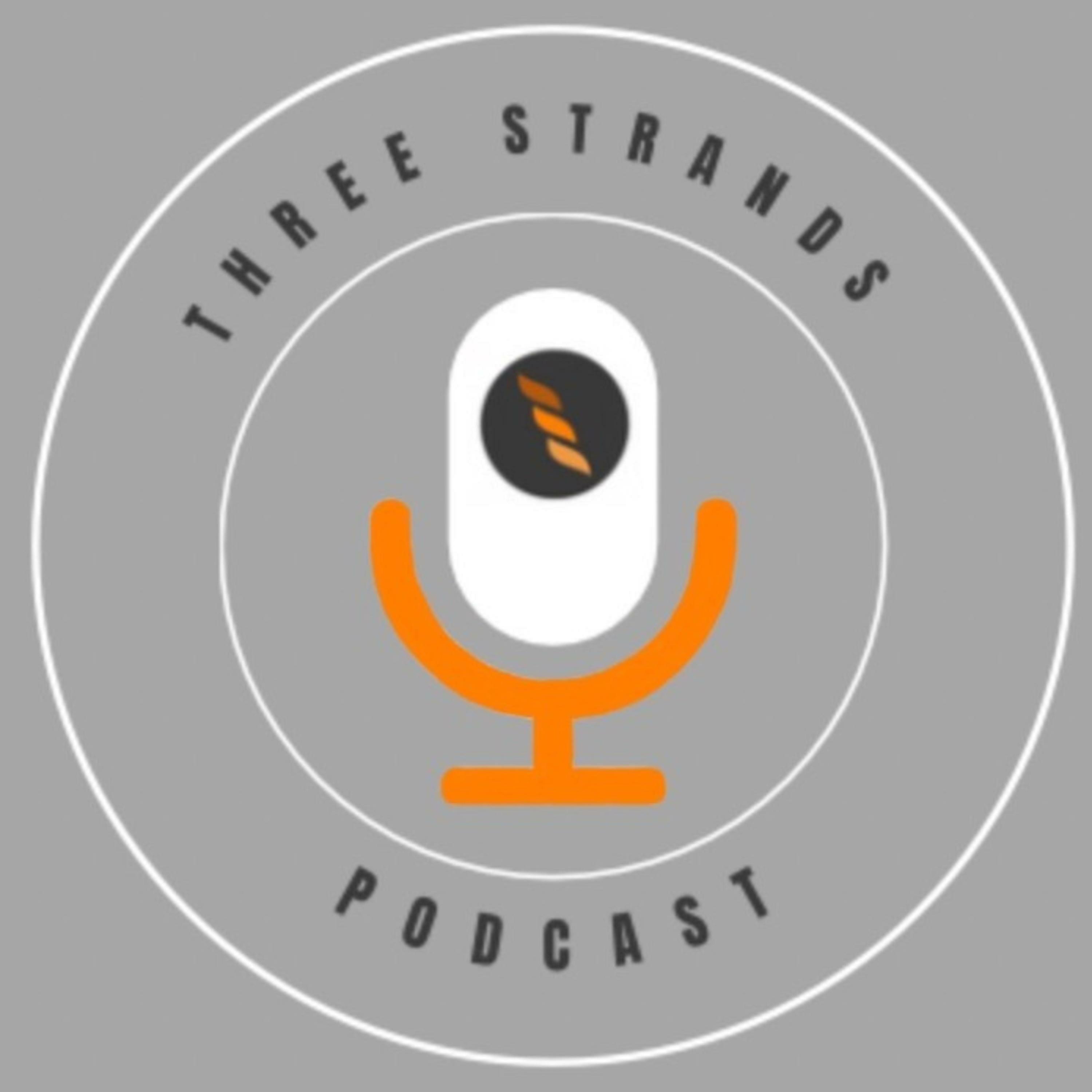 The stranded podcast | Young Adults