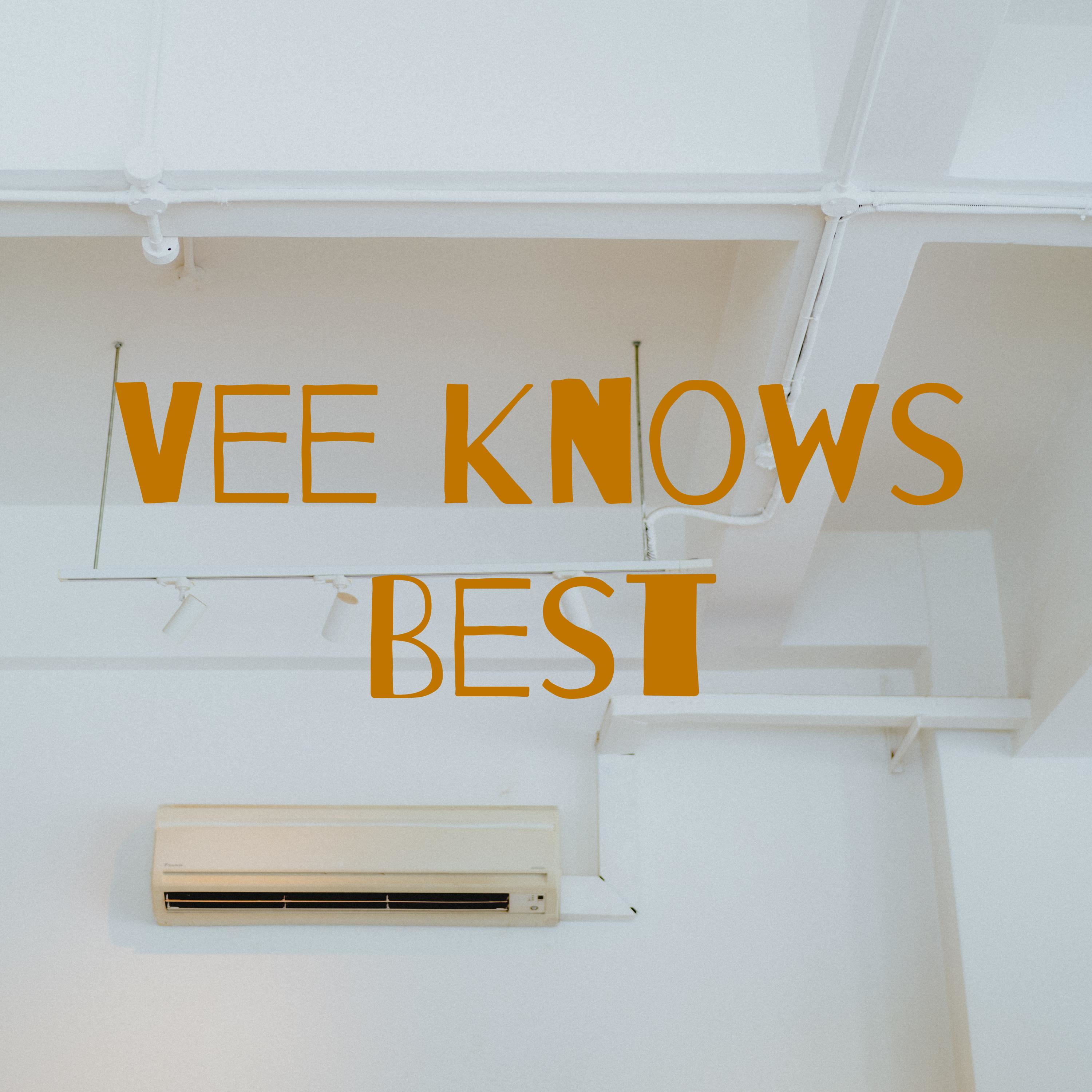 Vee Knows Best podcast artwork