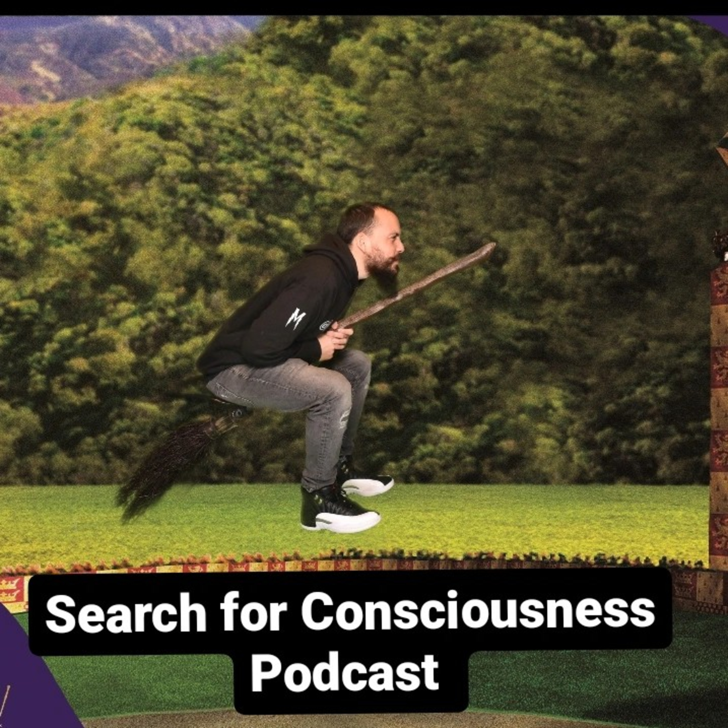 Search For Consciousness 