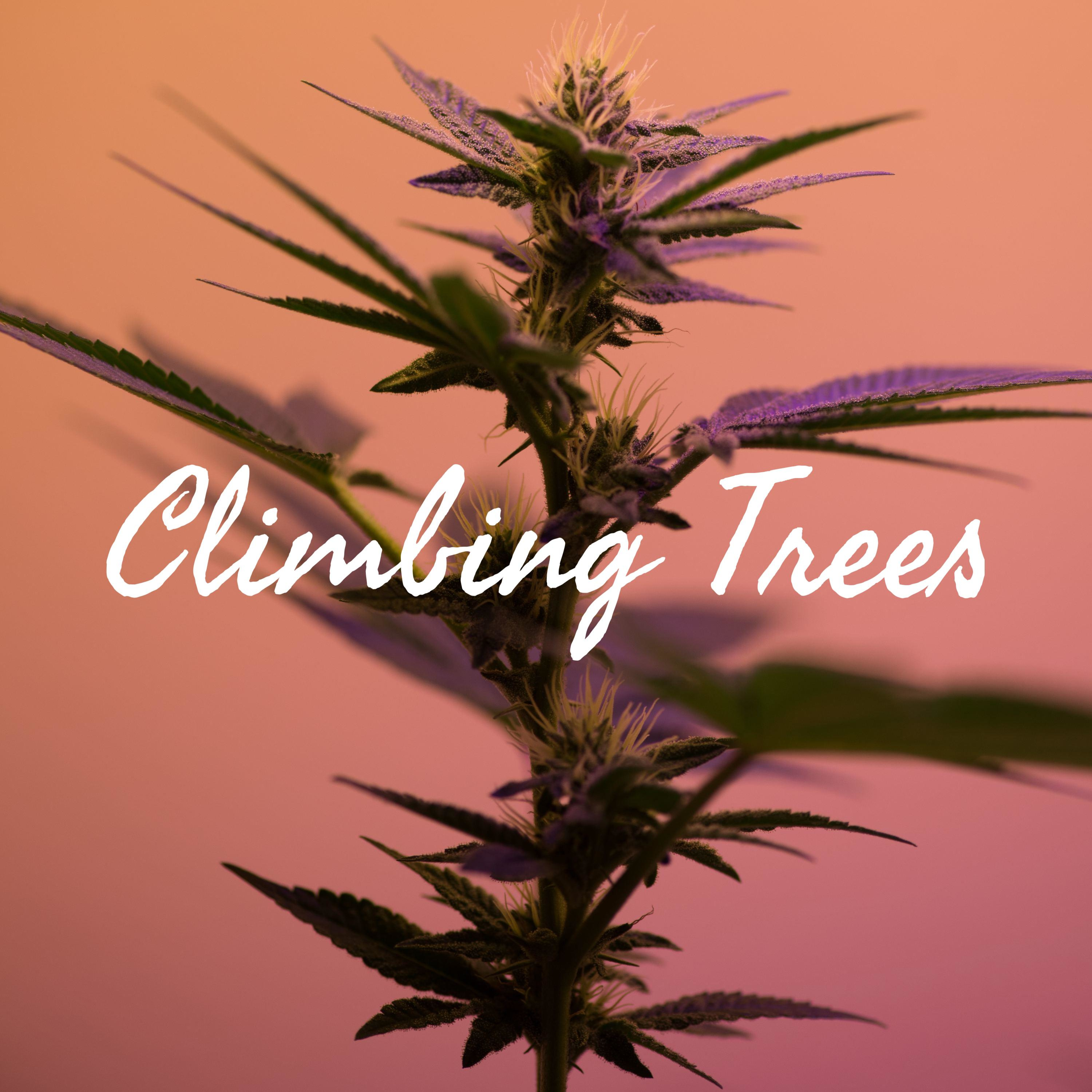 Climbing Trees