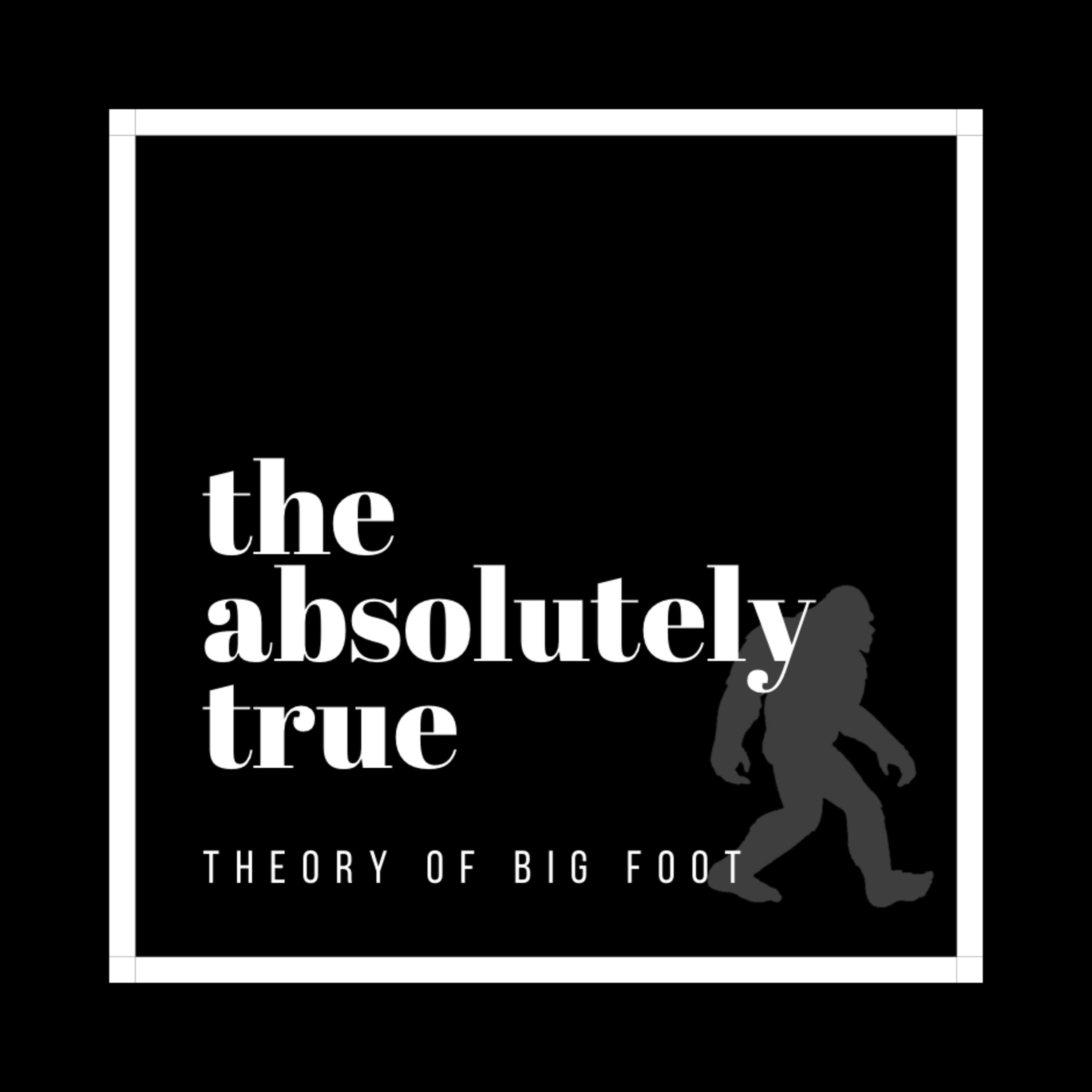 Absolutely True Theory Podcast!