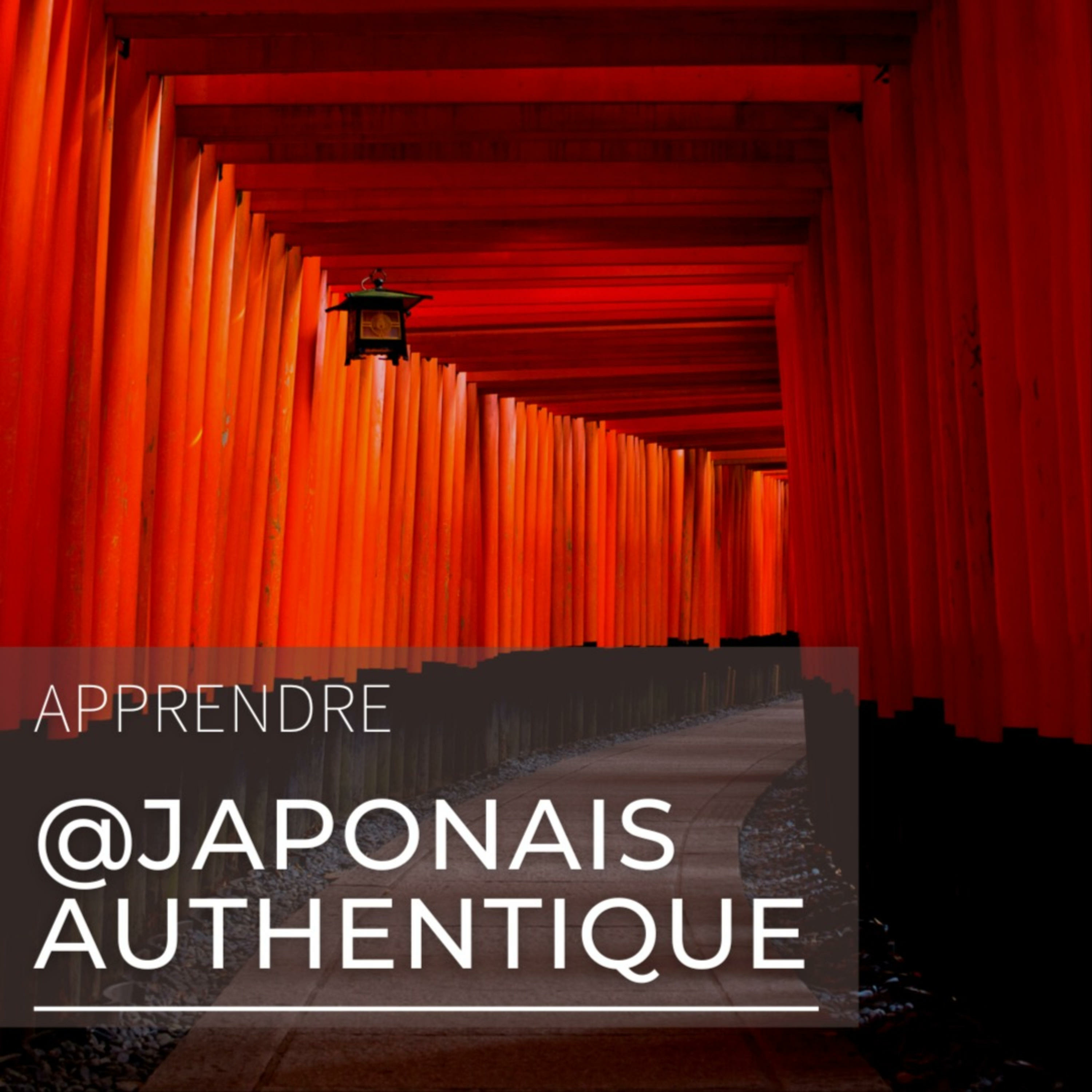 Japonais Authentique - Réalisez votre souhait de parler japonais