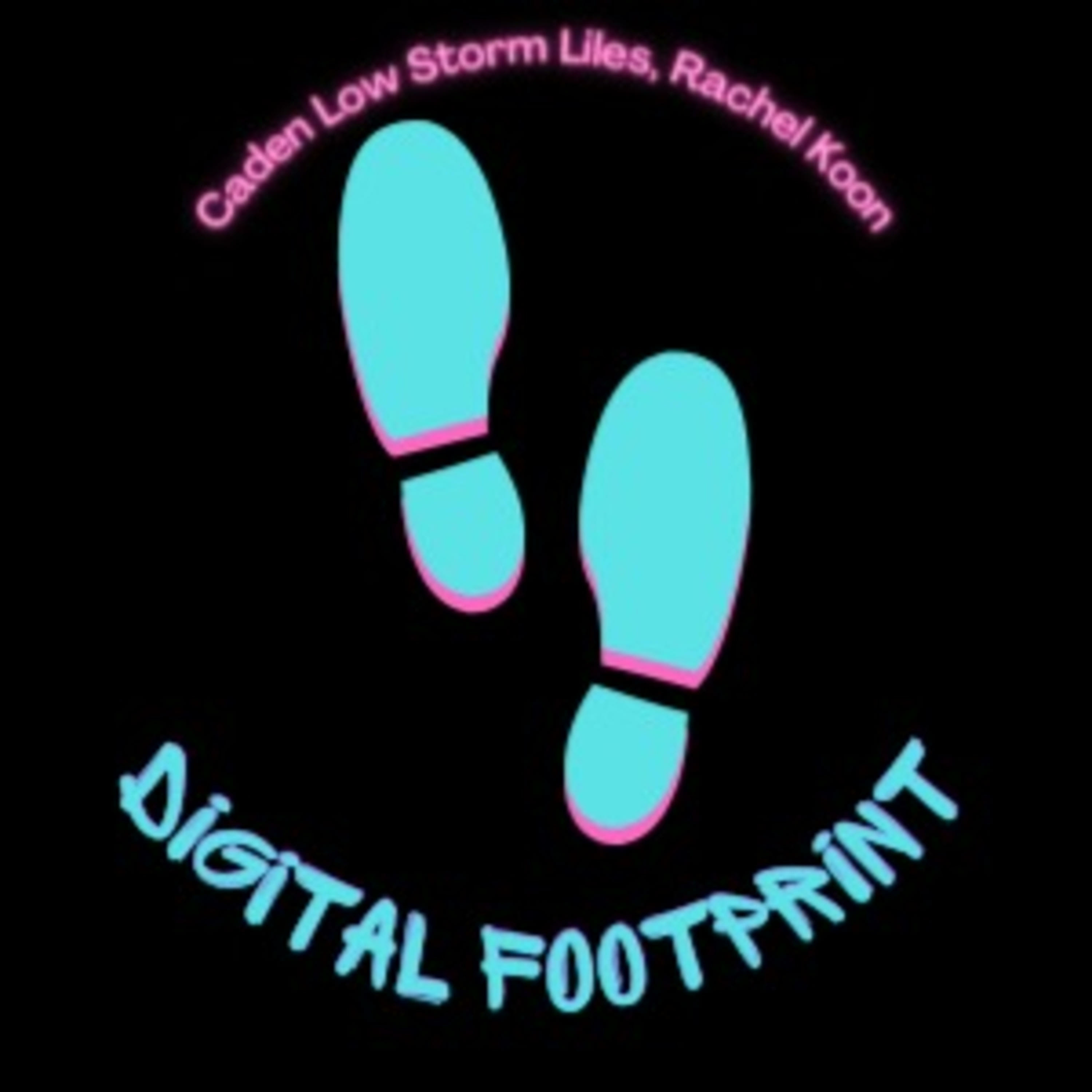 Digital footprint