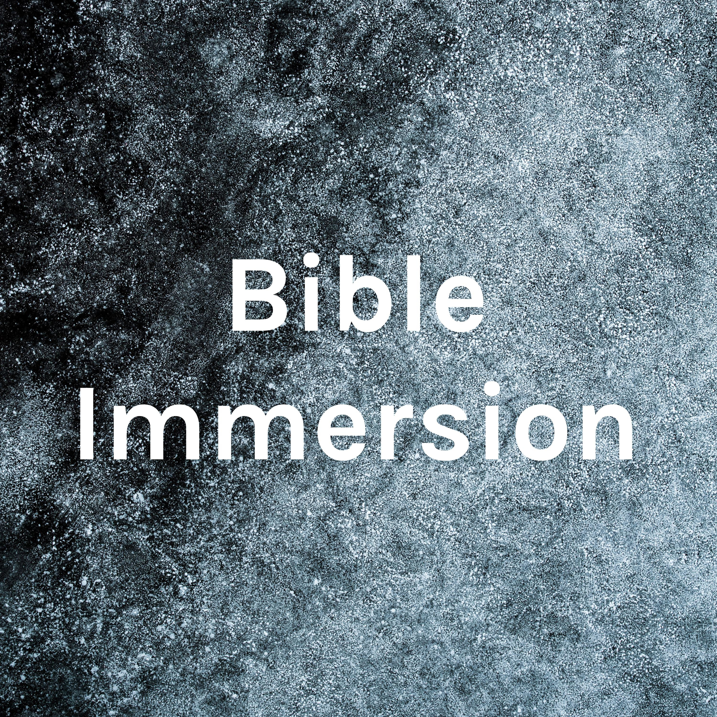 Bible Immersion