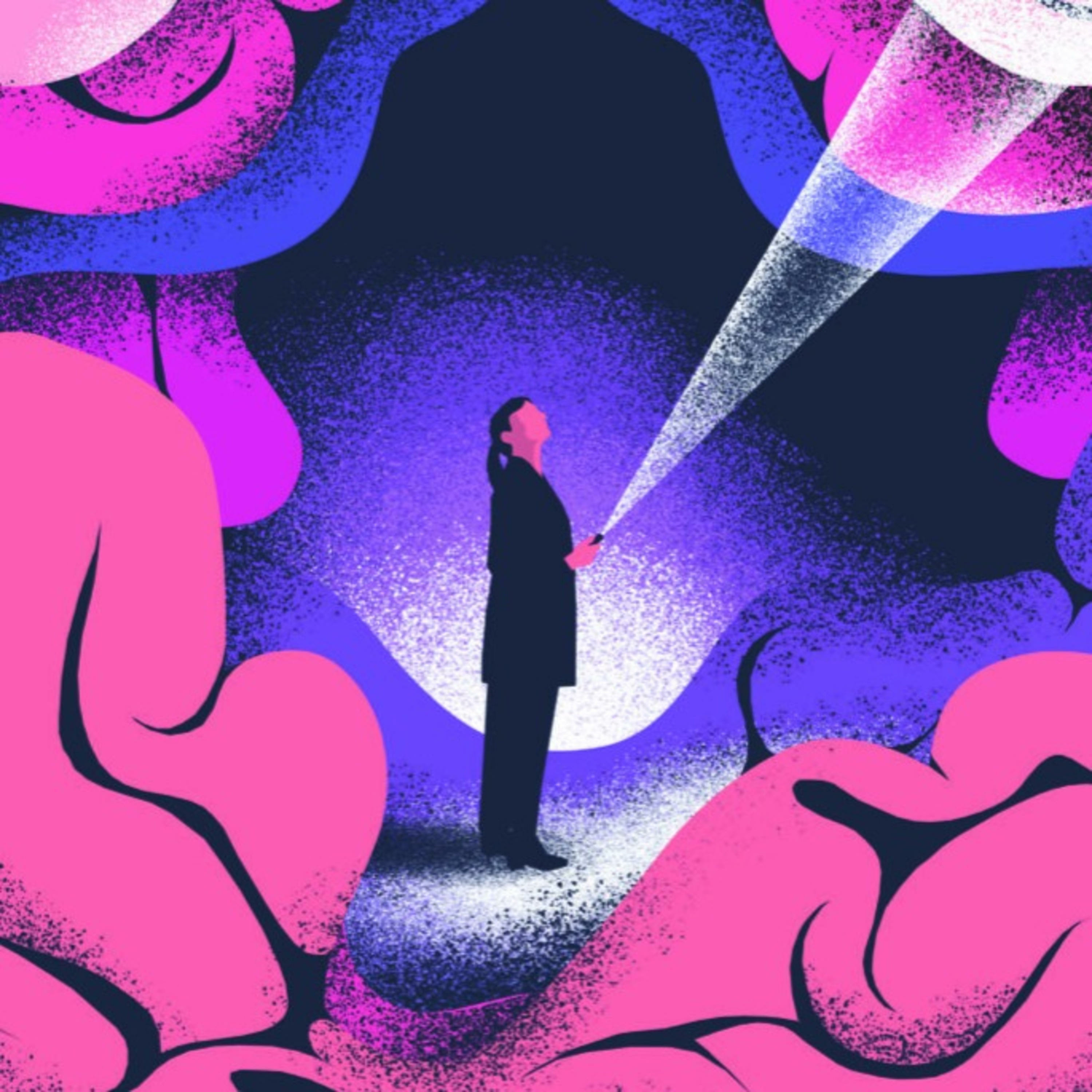 Beynimin İçindekiler cover art