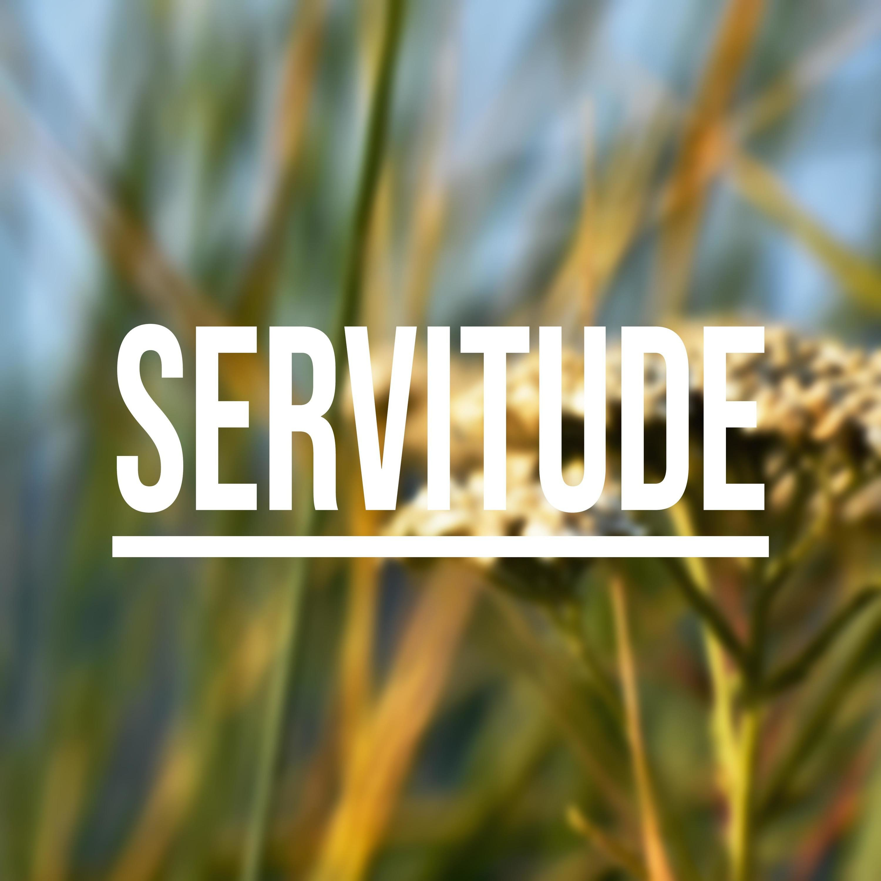 Servitude