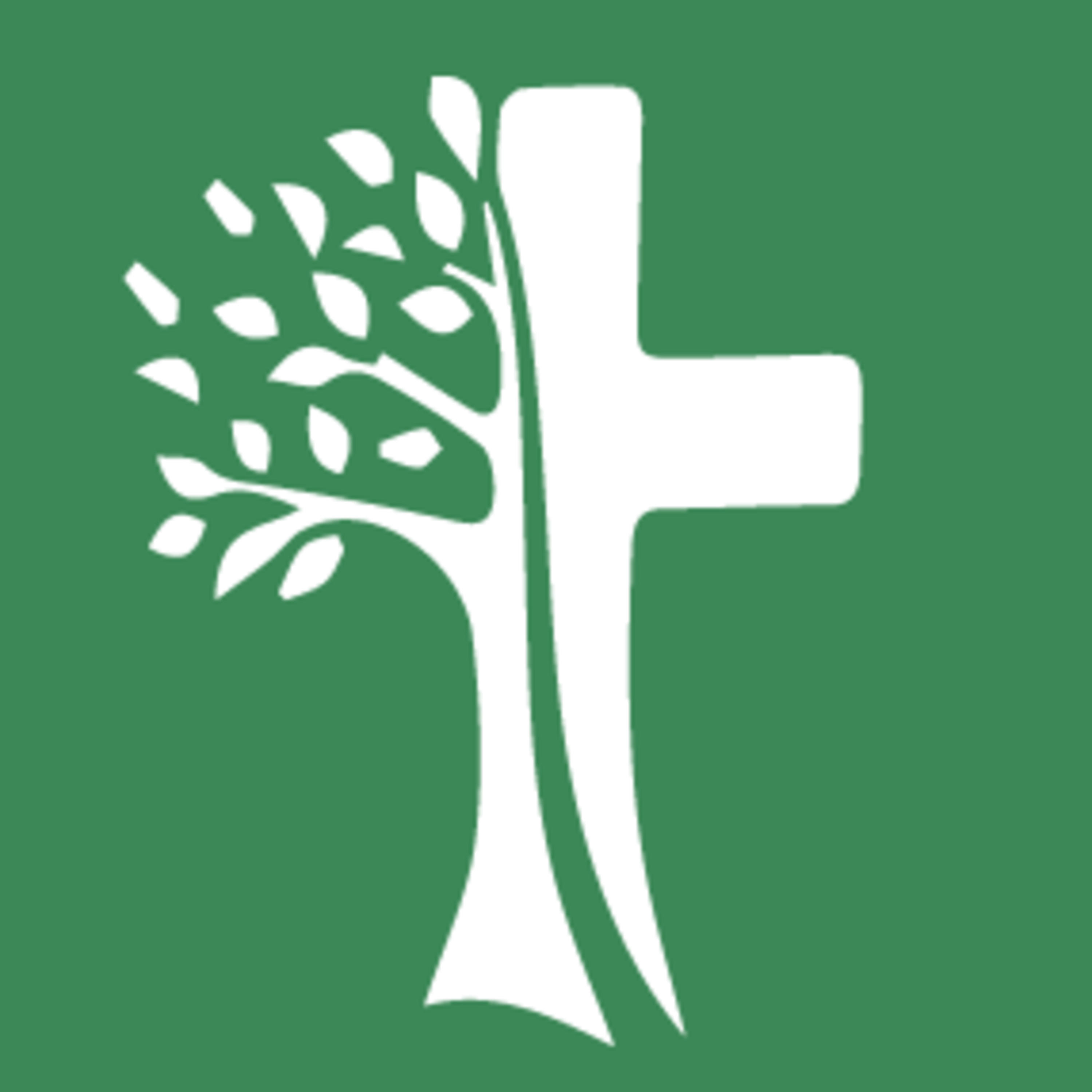 Prédicas Iglesia Cristiana El Milagro