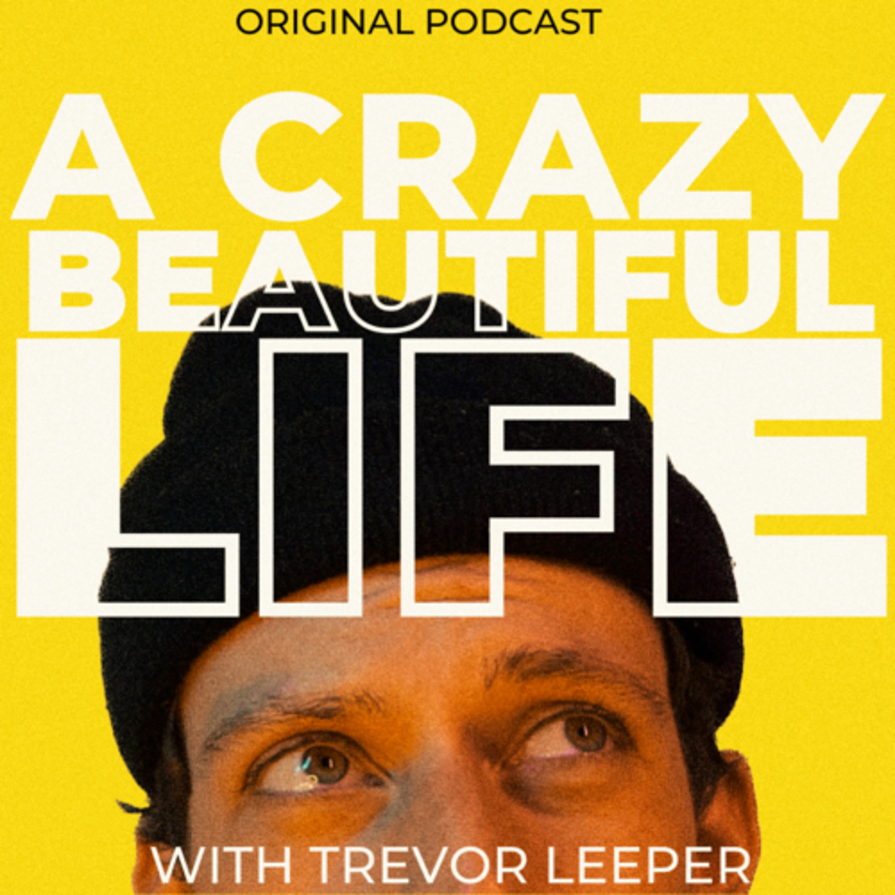 A Crazy Beautiful Life