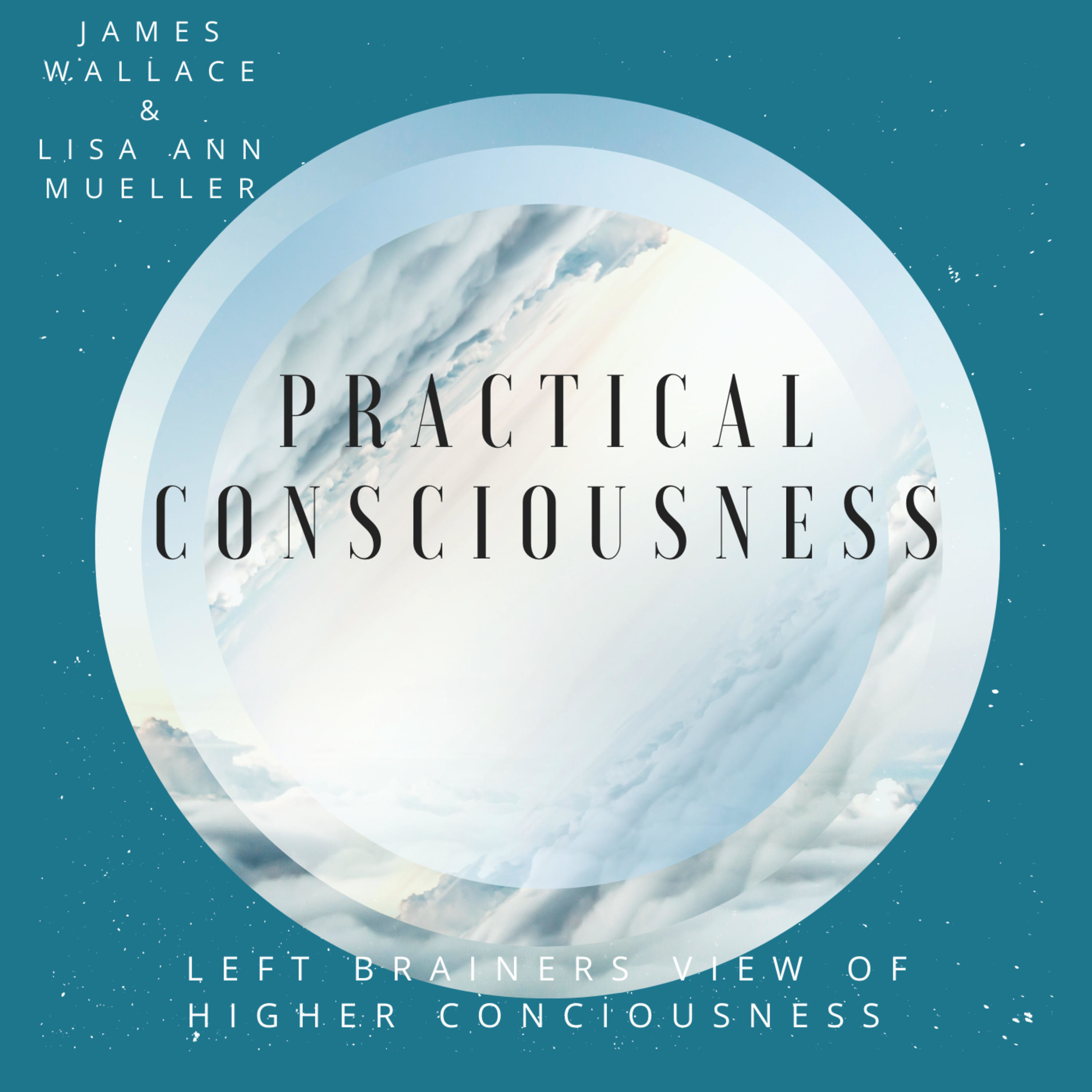 Practical Consciousness