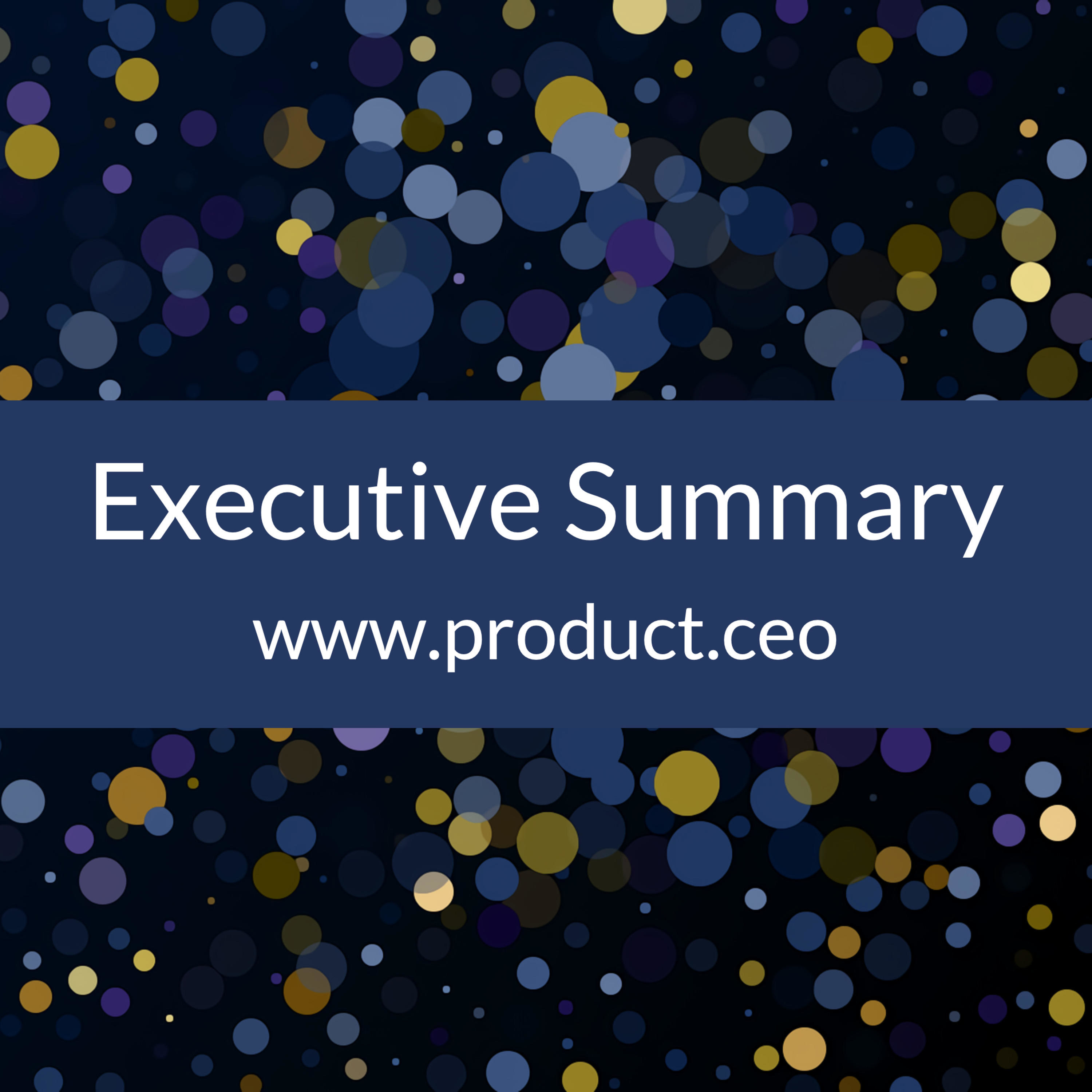 Executive Summary by Product CEO