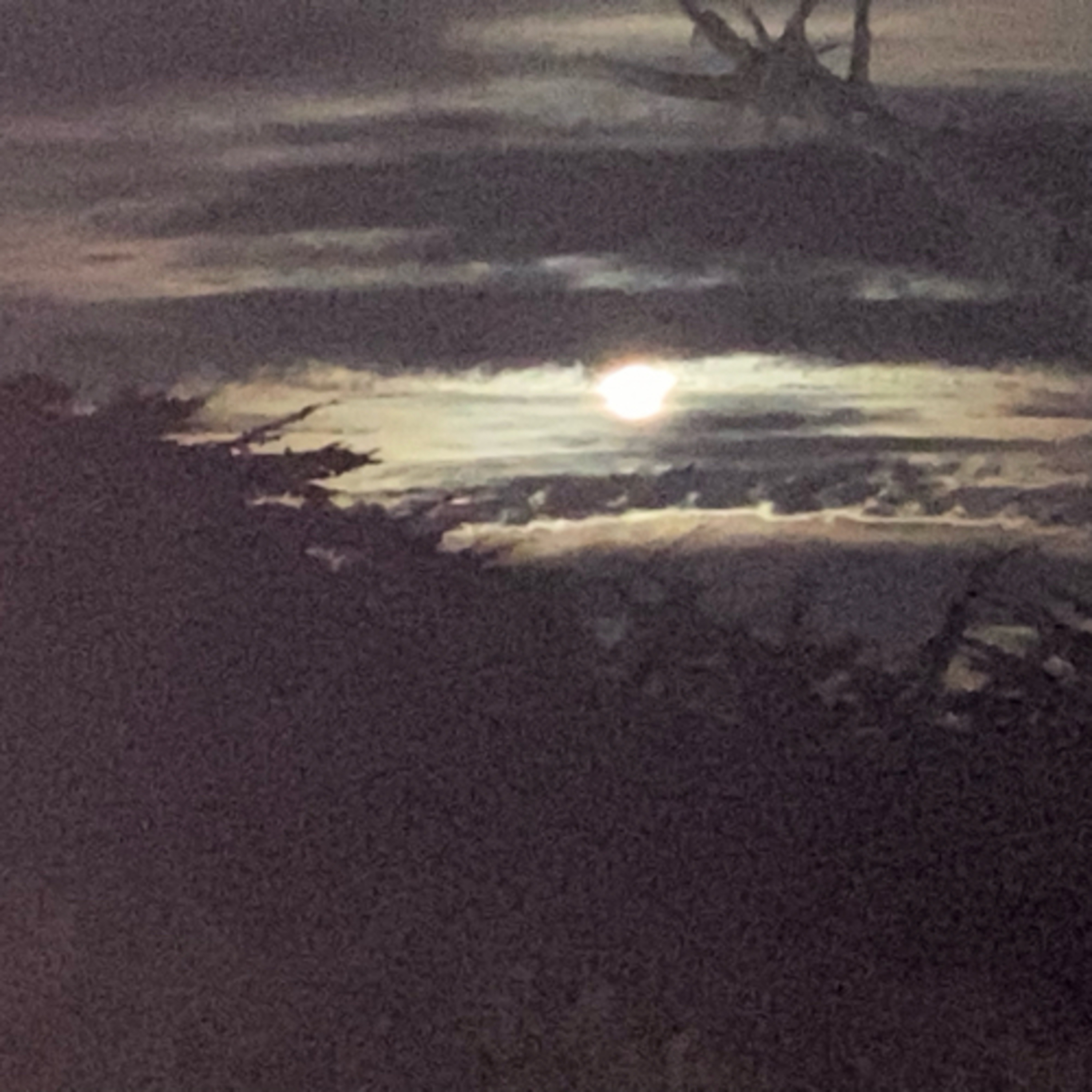 Holistic Healing Podcasts