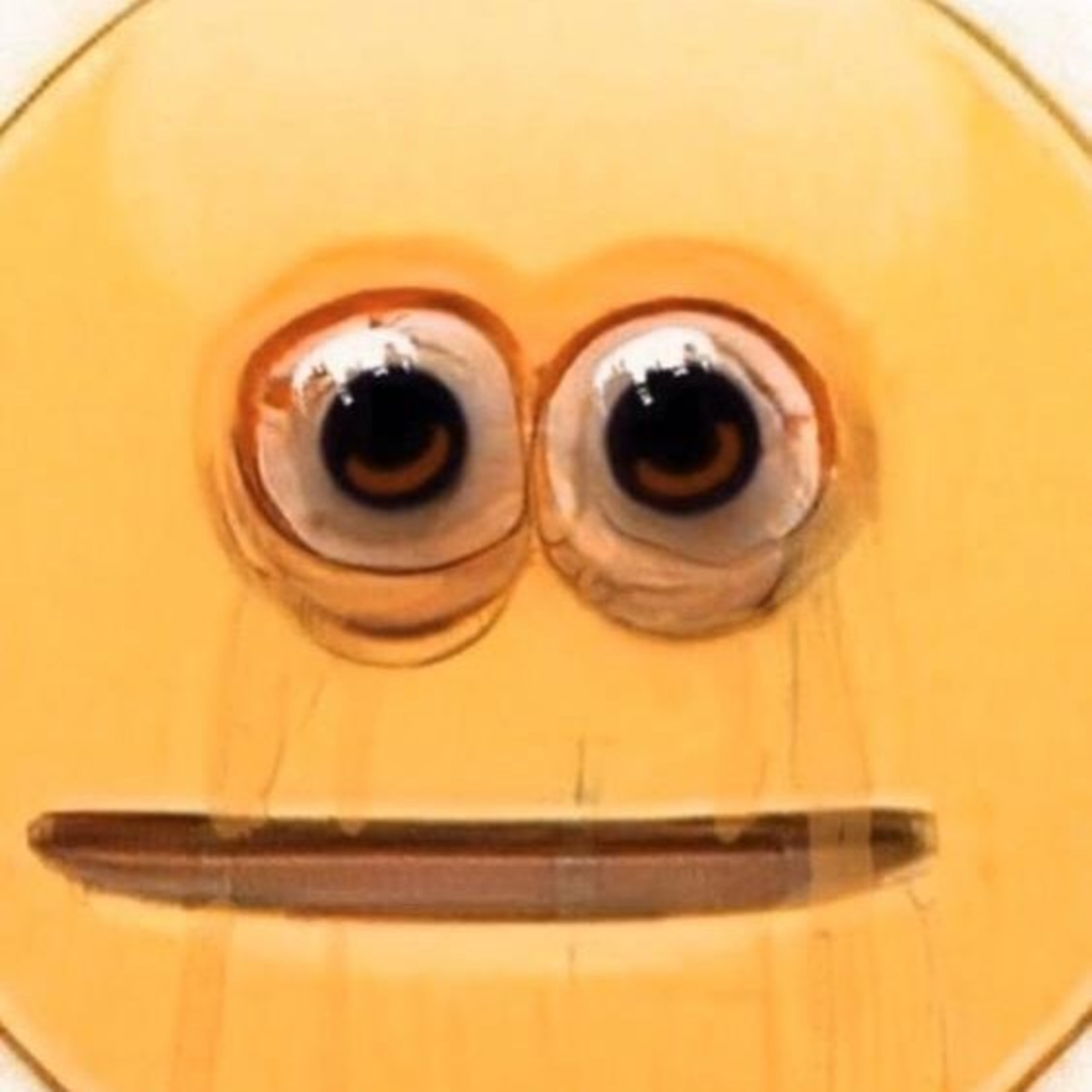 Vibe Raiders Council