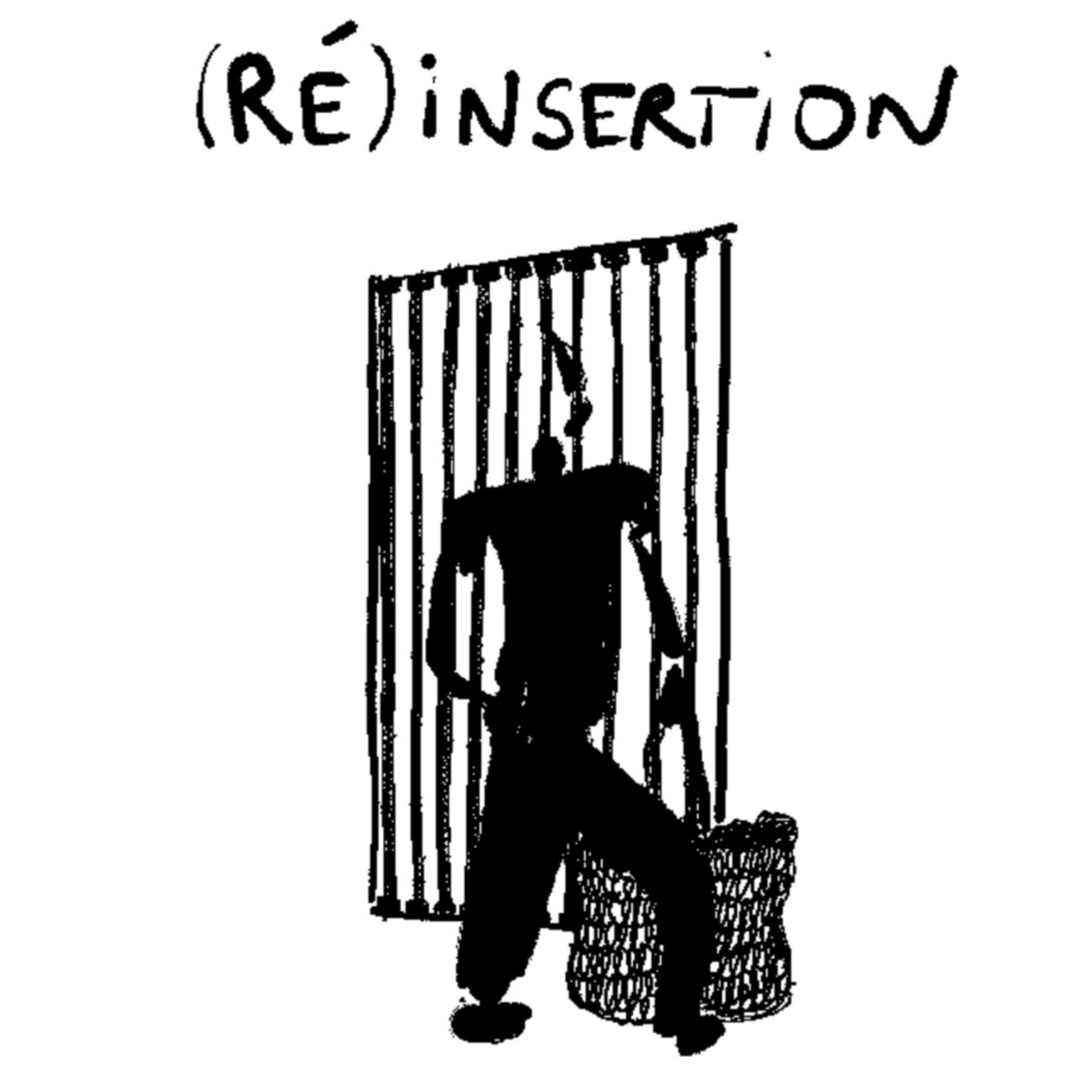 (Ré)Insertion podcast artwork
