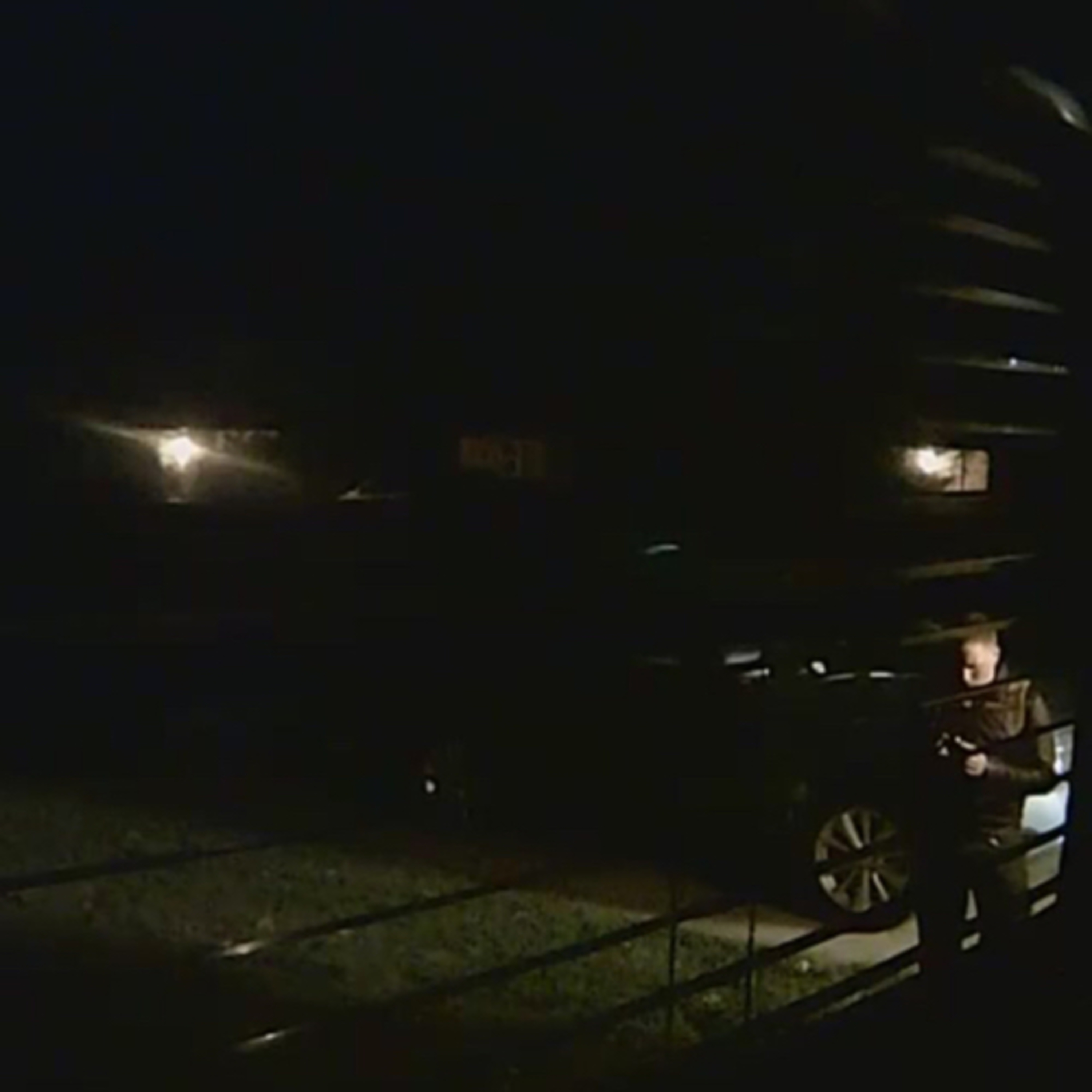 Talking To Your Dog. A podcast discussing K9 MEDICAL ALERT TRAINING.