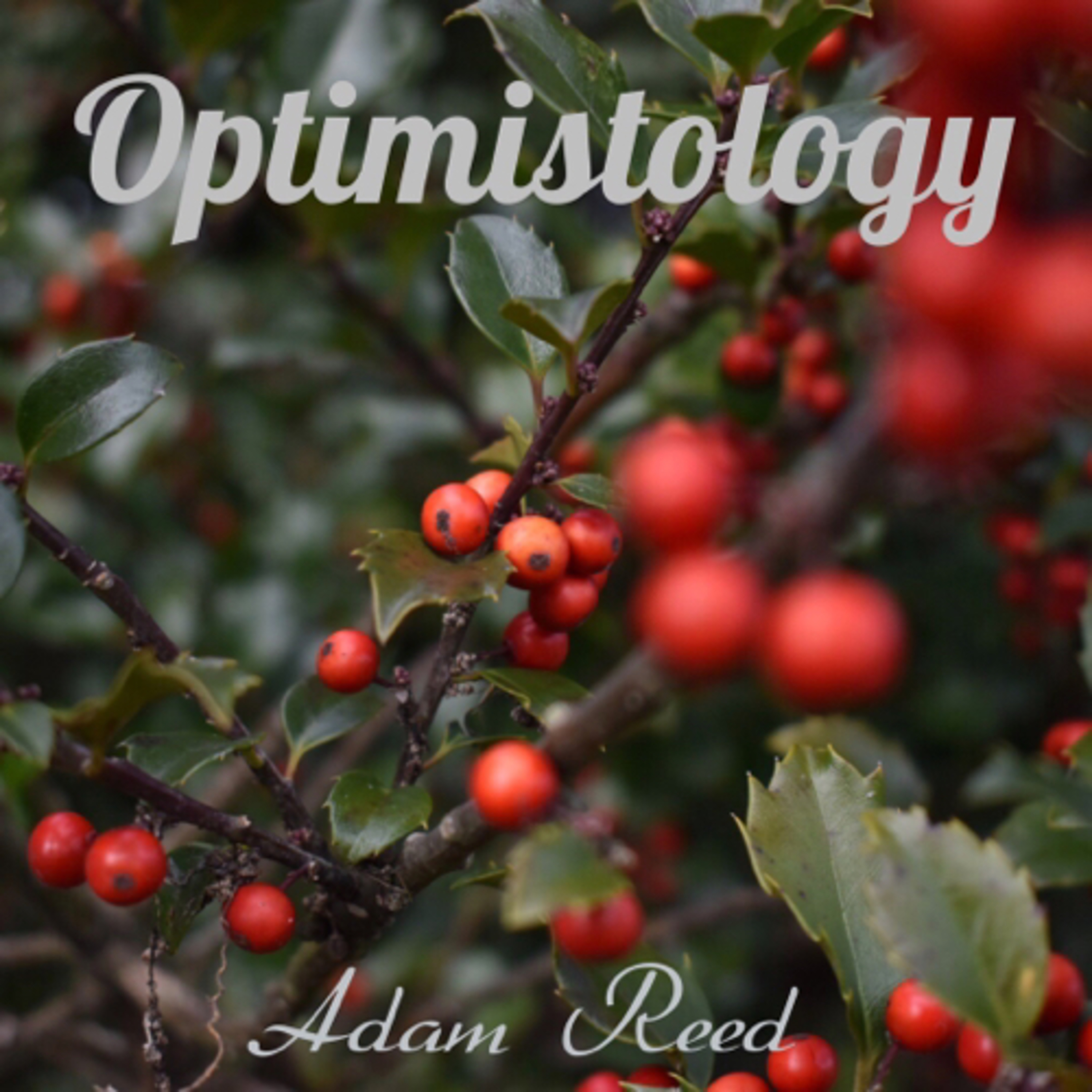 Optimistology