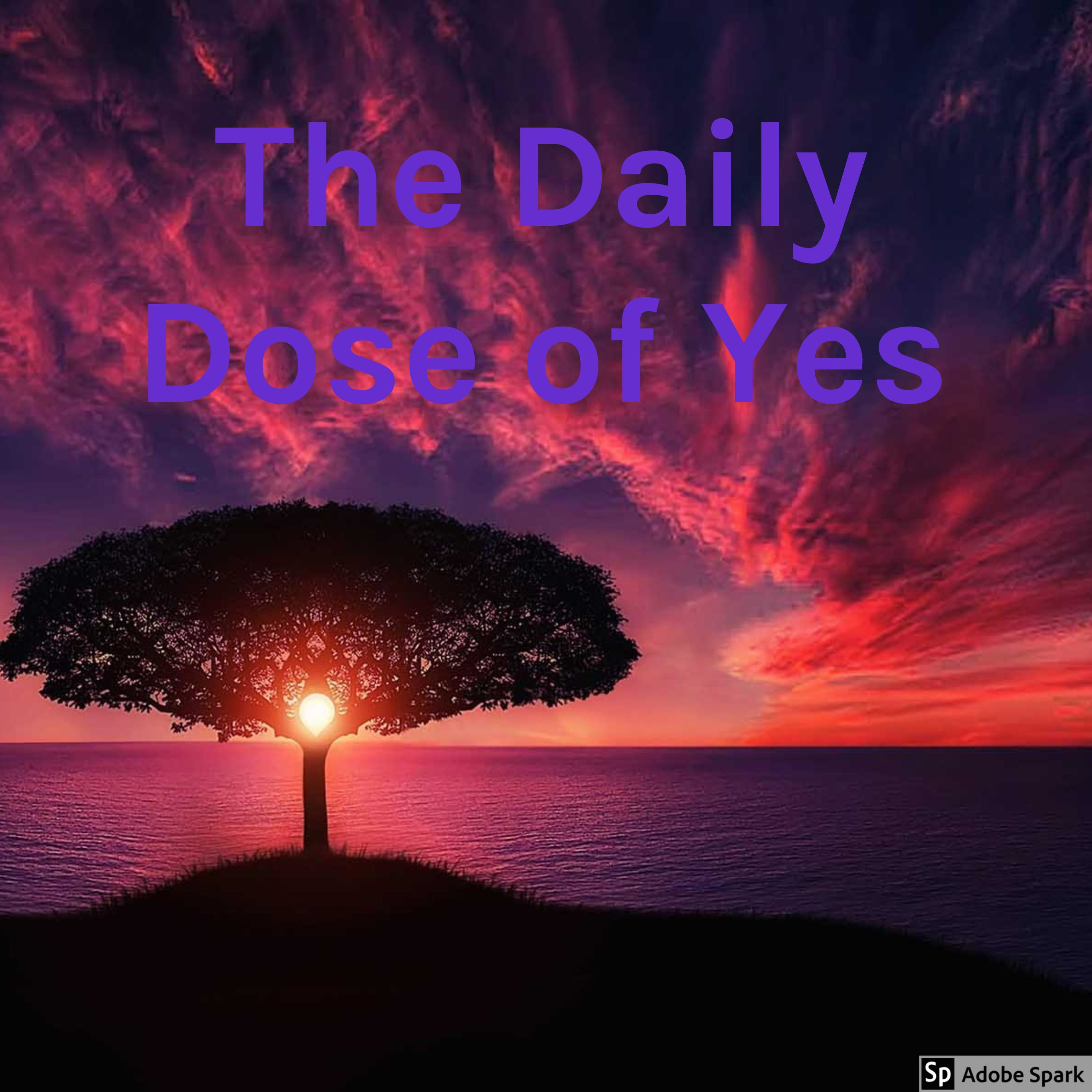 The Daily Dose Of Yes